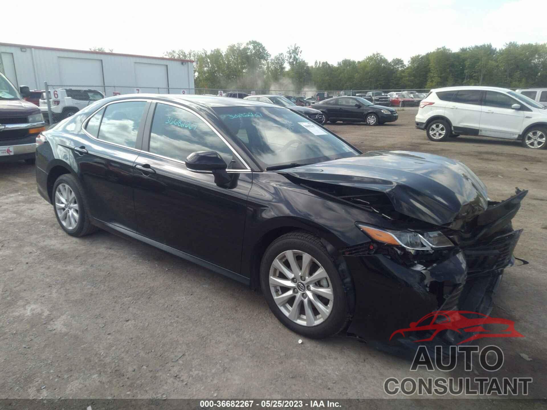 TOYOTA CAMRY 2019 - 4T1B11HK5KU731385