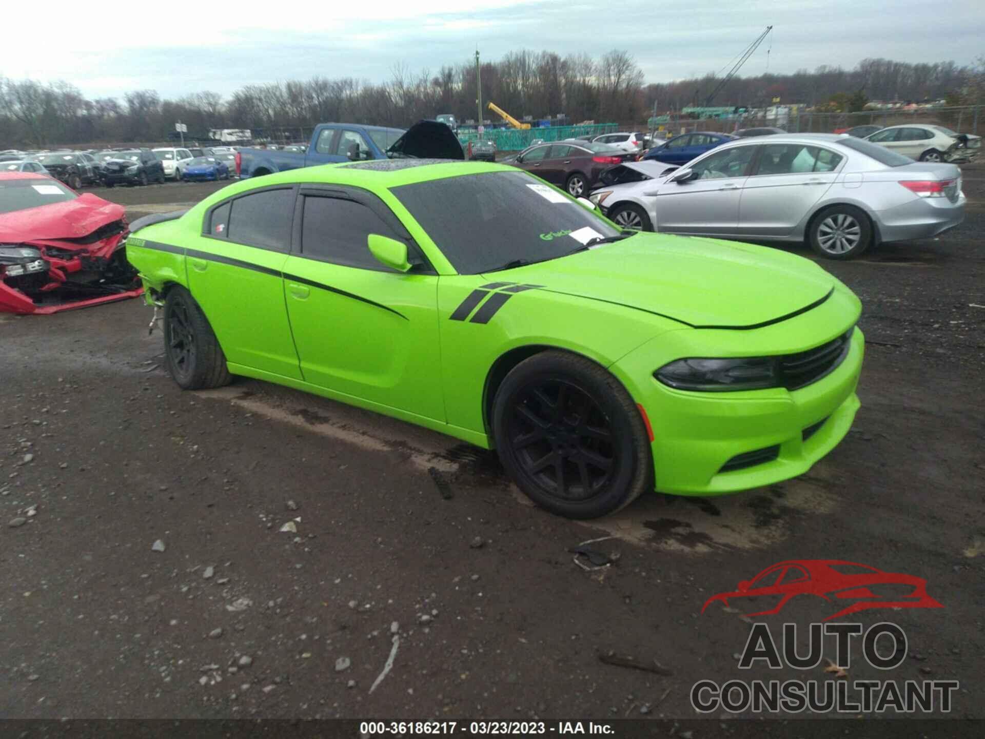 DODGE CHARGER 2019 - 2C3CDXBG3KH717497