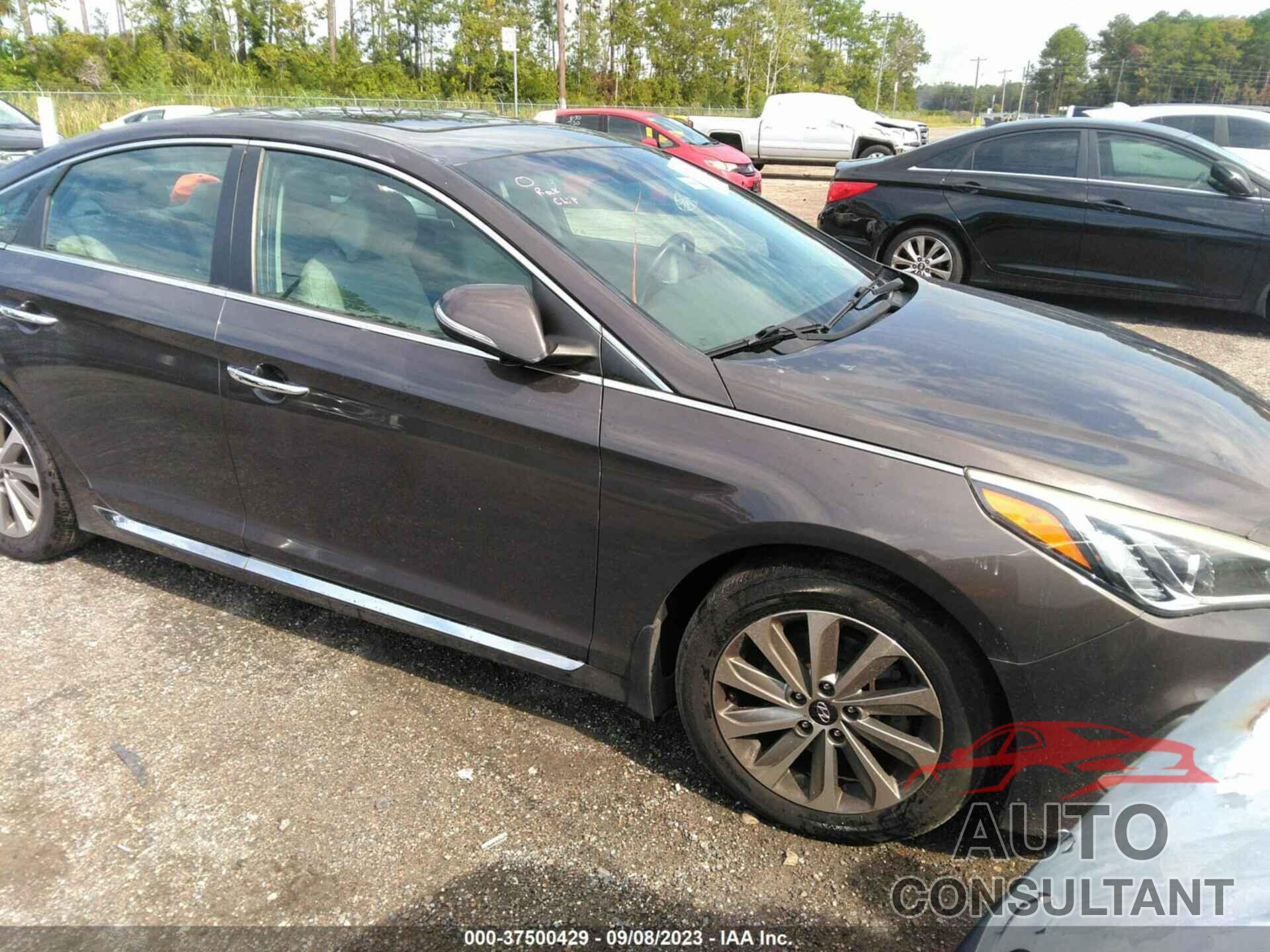 HYUNDAI SONATA 2016 - 5NPE34AF4GH409655
