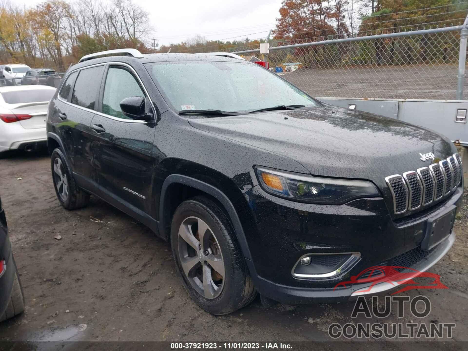 JEEP CHEROKEE 2019 - 1C4PJMDX4KD470358