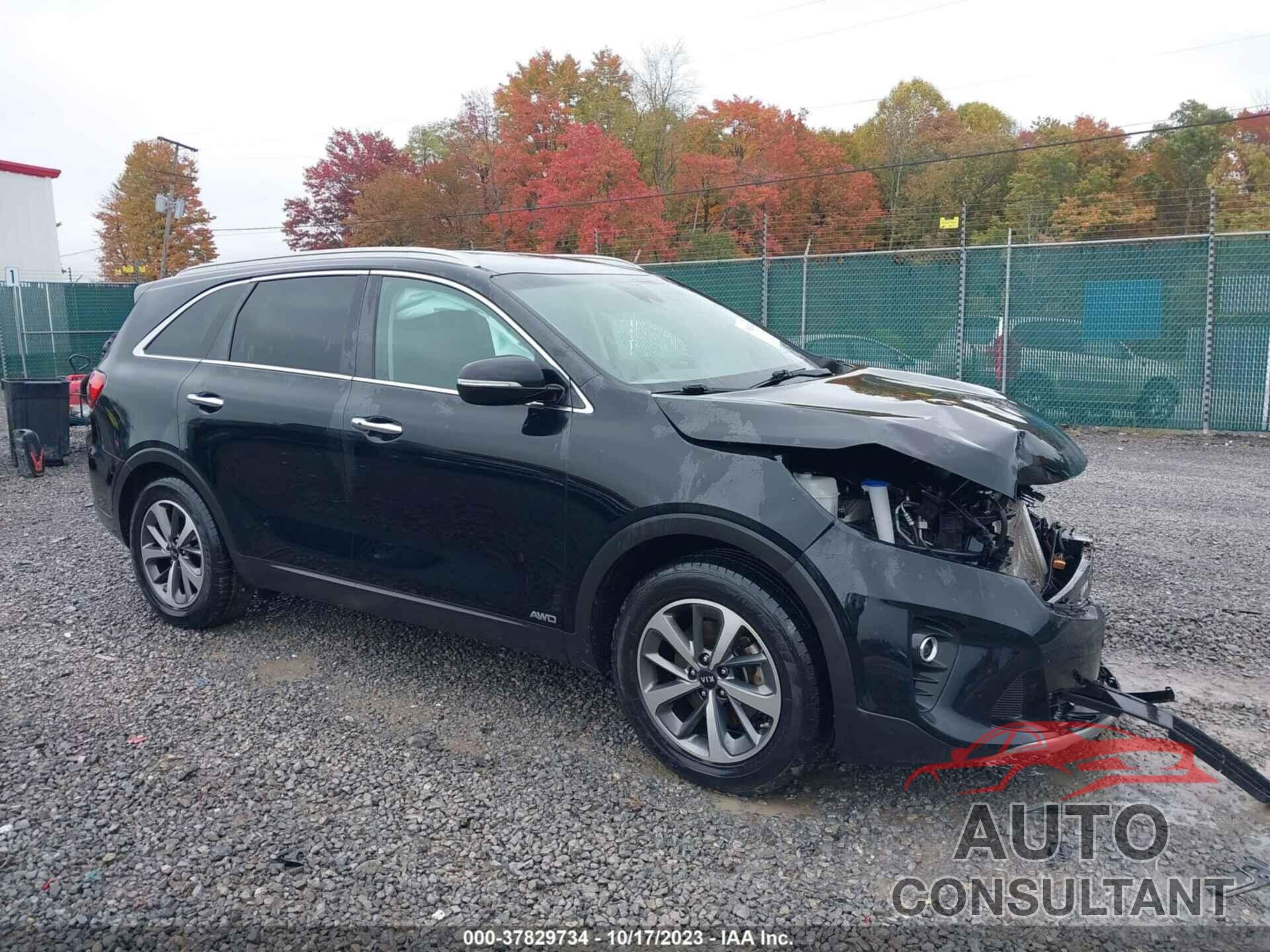 KIA SORENTO 2019 - 5XYPHDA51KG524828