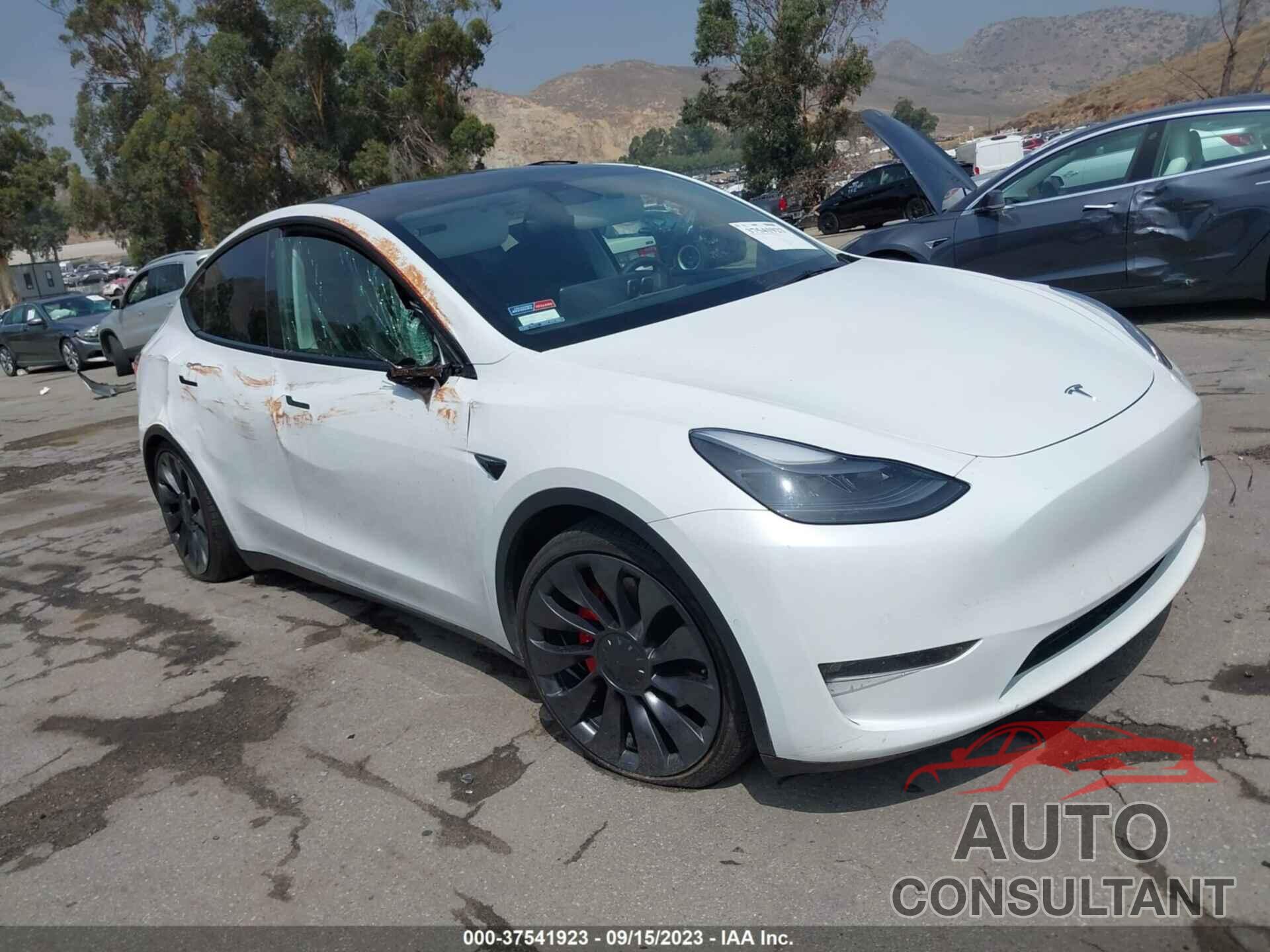 TESLA MODEL Y 2021 - 5YJYGDEF8MF151209