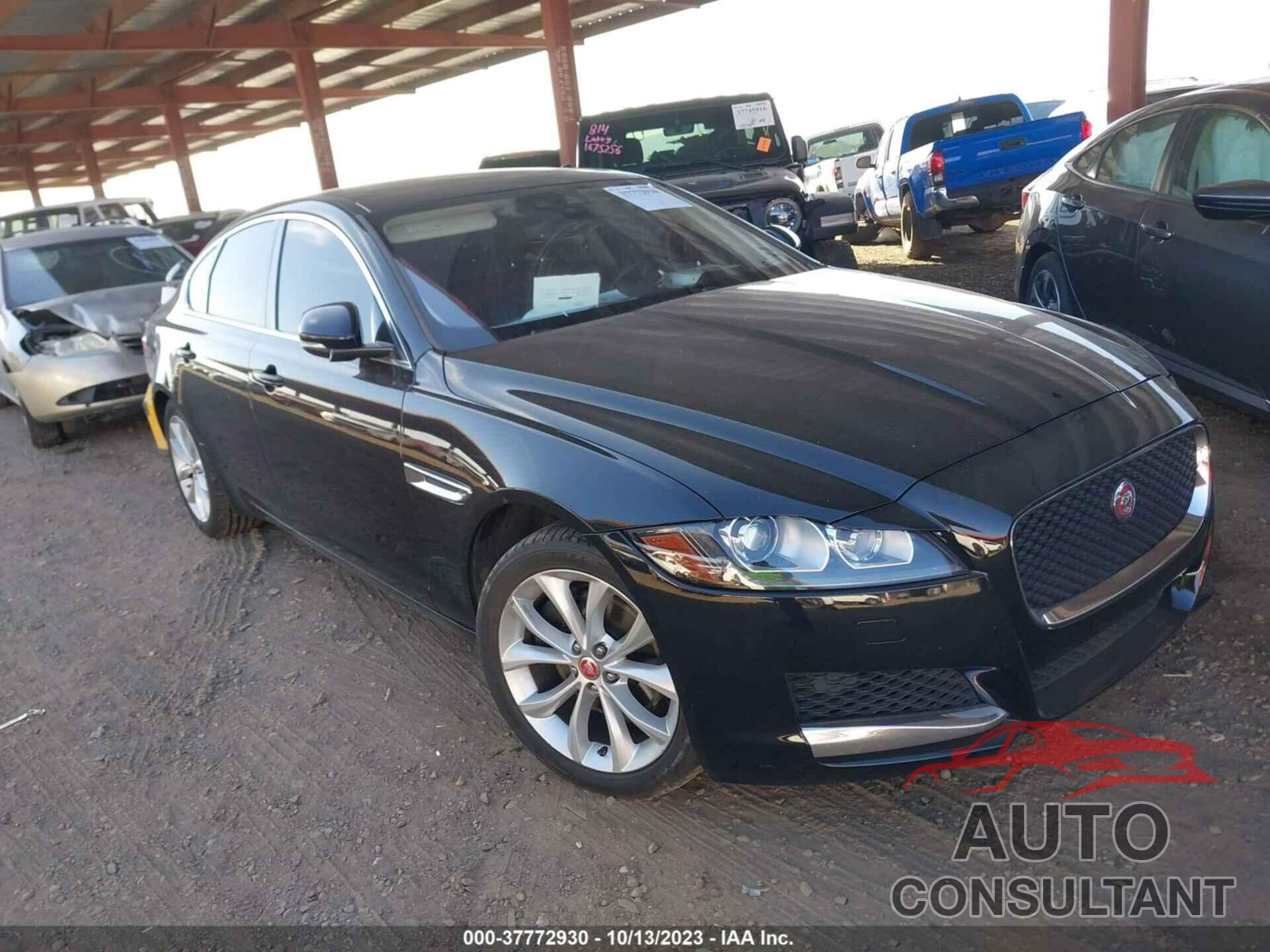 JAGUAR XF 2019 - SAJBJ4FX4KCY79507