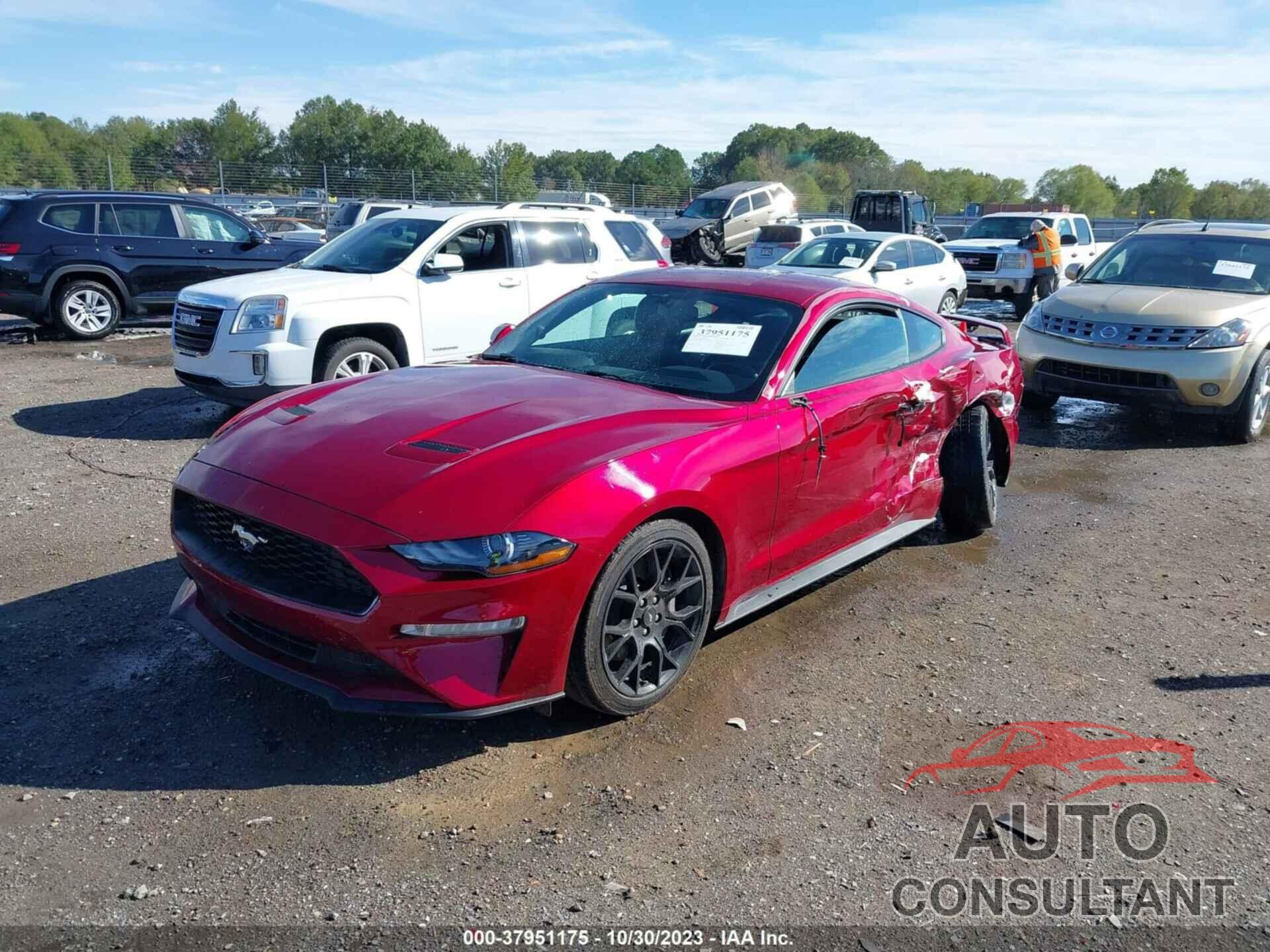 FORD MUSTANG 2019 - 1FA6P8TH4K5129439