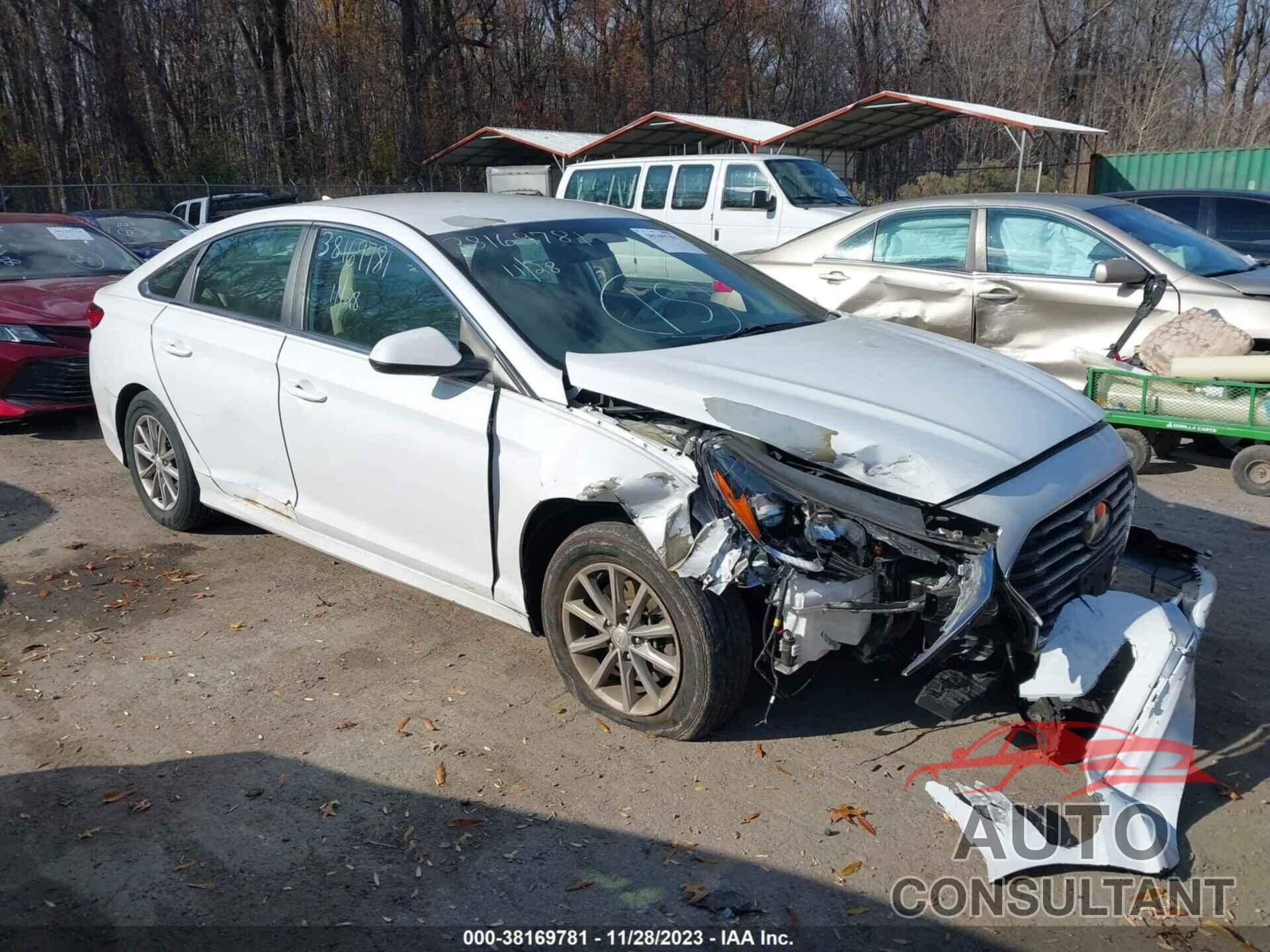 HYUNDAI SONATA 2019 - 5NPE24AF0KH759456