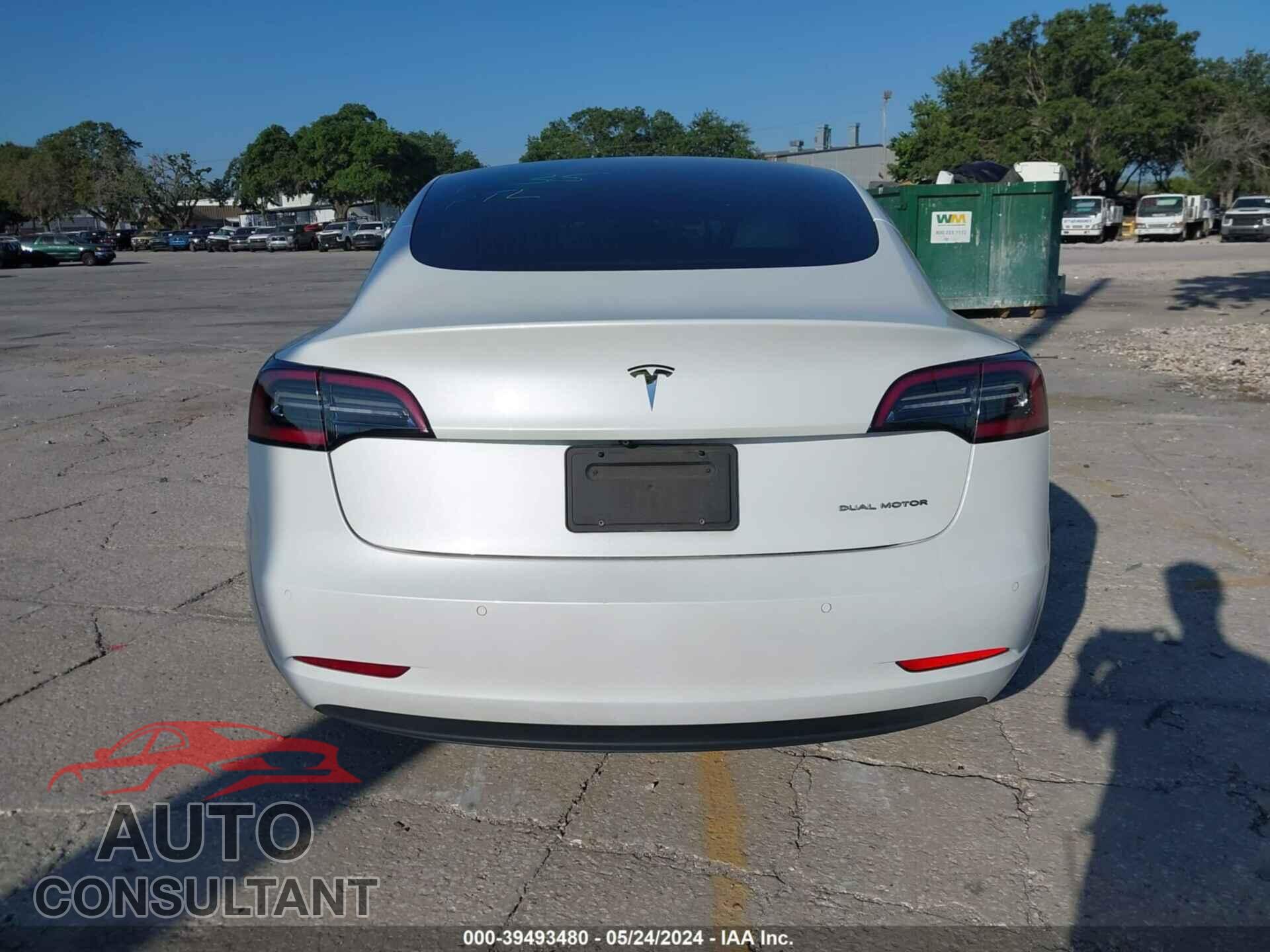 TESLA MODEL 3 2019 - 5YJ3E1EB1KF213865