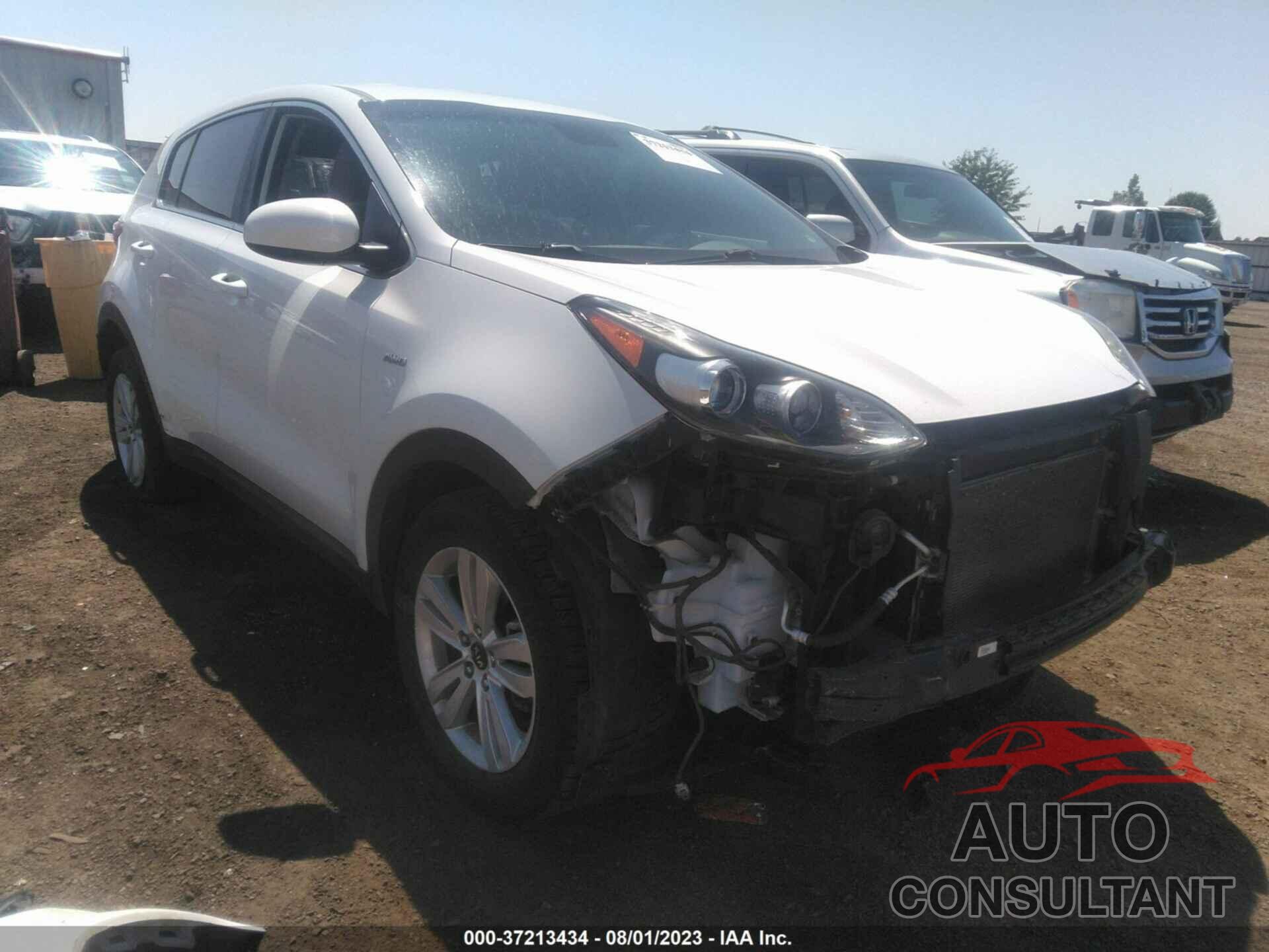 KIA SPORTAGE 2017 - KNDPMCAC7H7243451