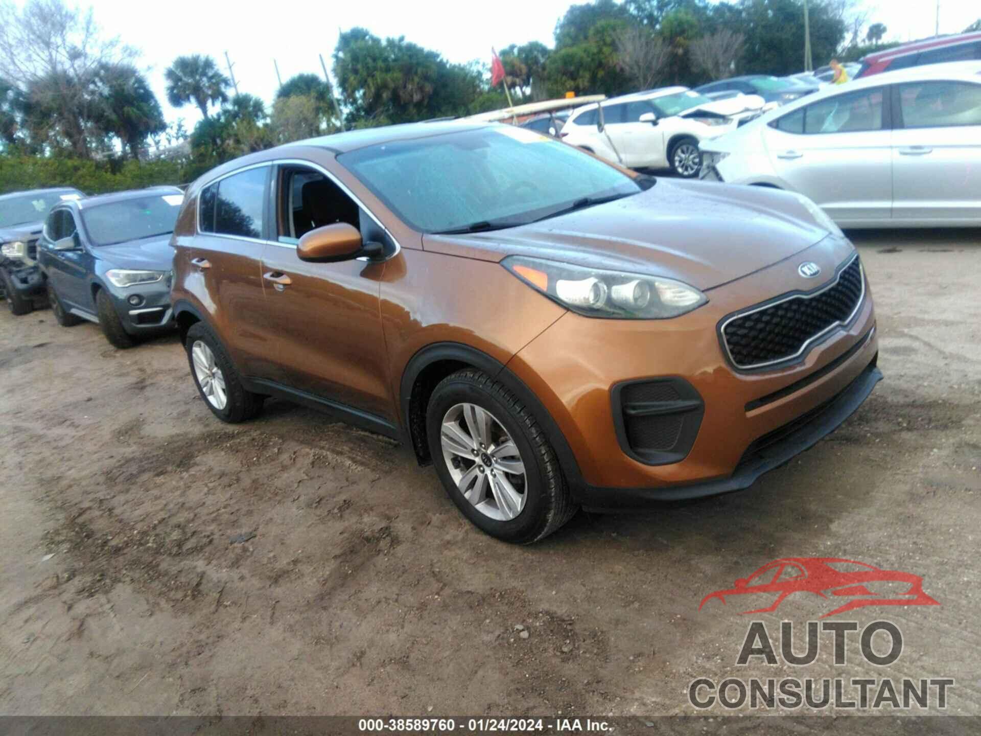 KIA SPORTAGE 2017 - KNDPM3AC2H7242241