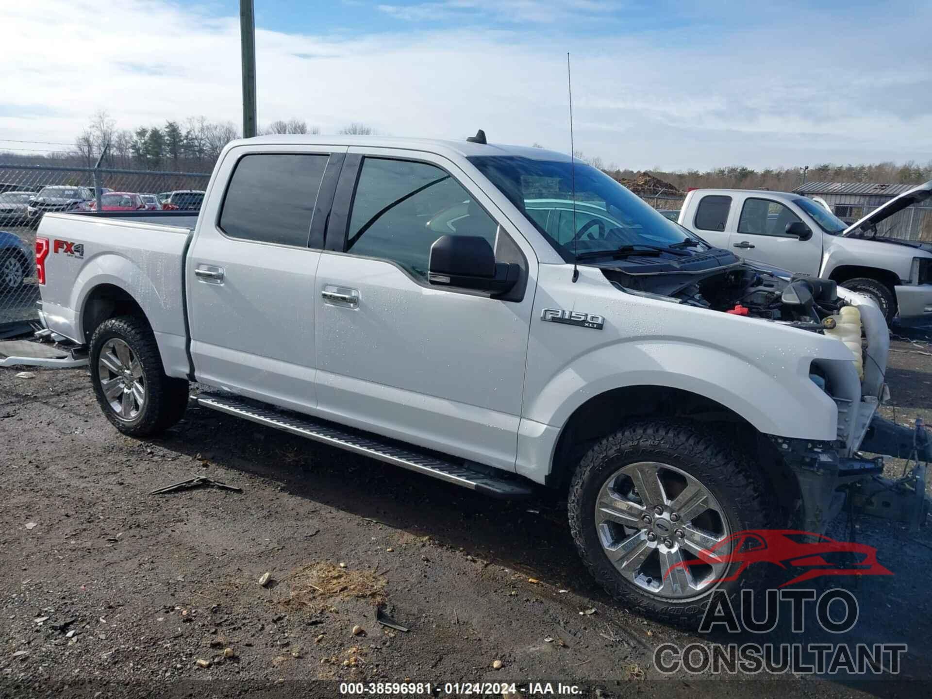 FORD F-150 2019 - 1FTEW1E5XKFA95651