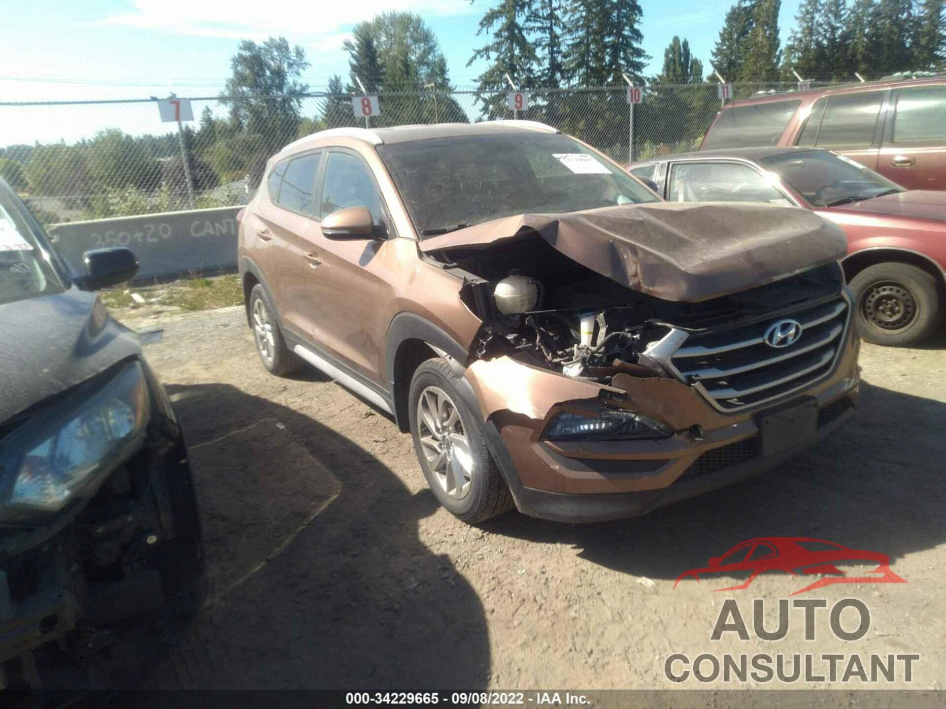 HYUNDAI TUCSON 2017 - KM8J33A46HU414026