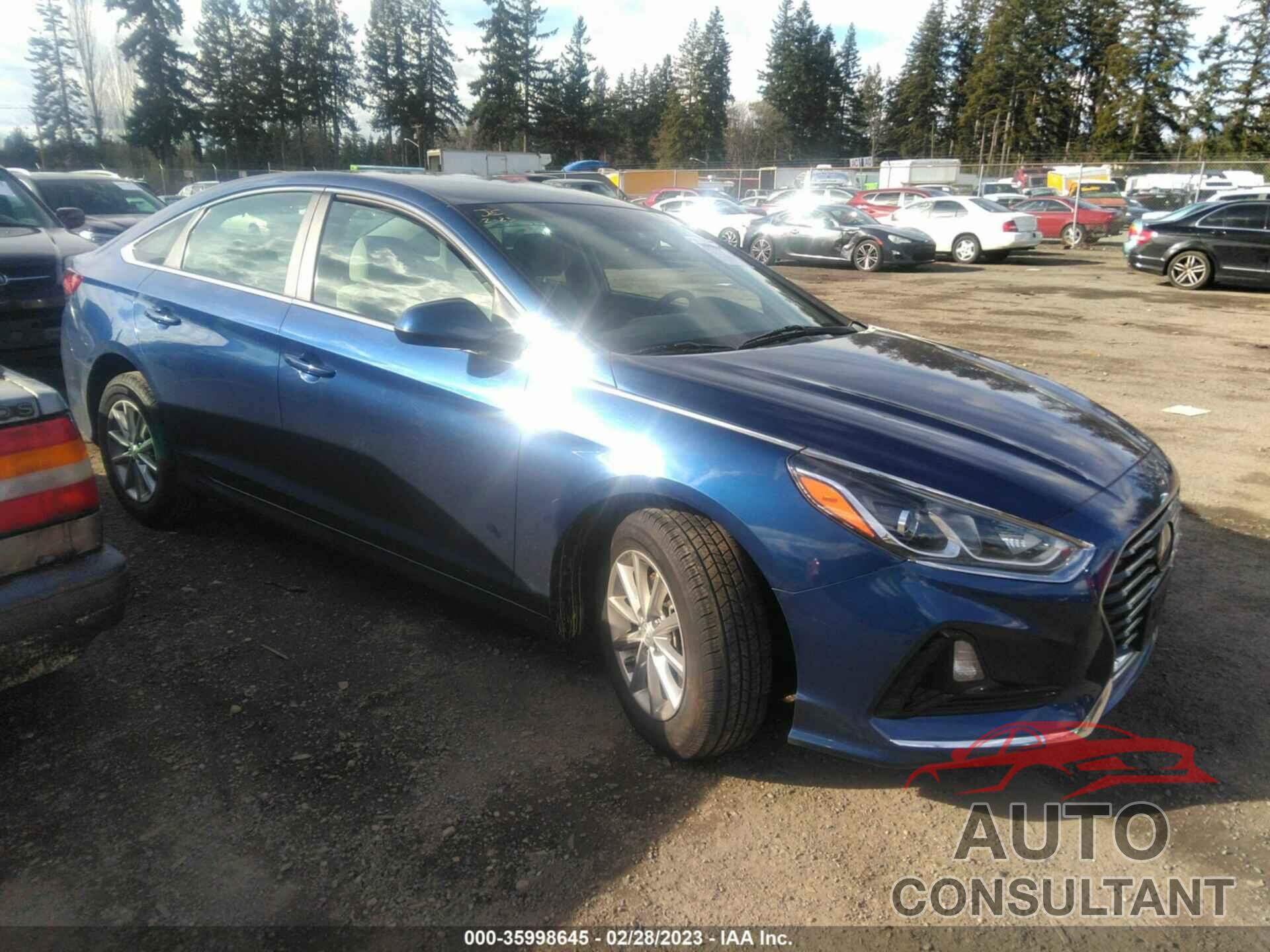 HYUNDAI SONATA 2019 - 5NPE24AF4KH792413