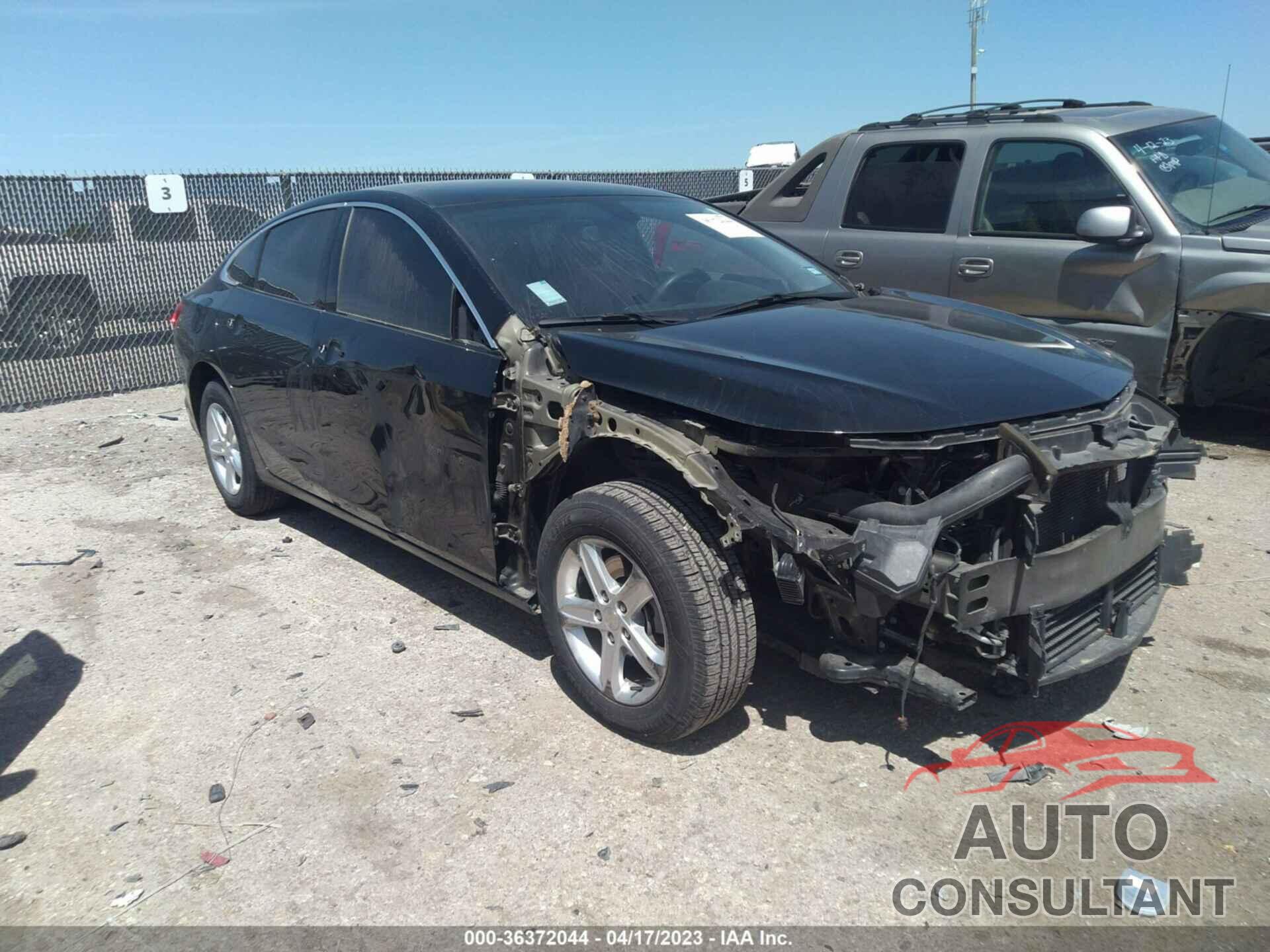 CHEVROLET MALIBU 2019 - 1G1ZB5ST1KF220178
