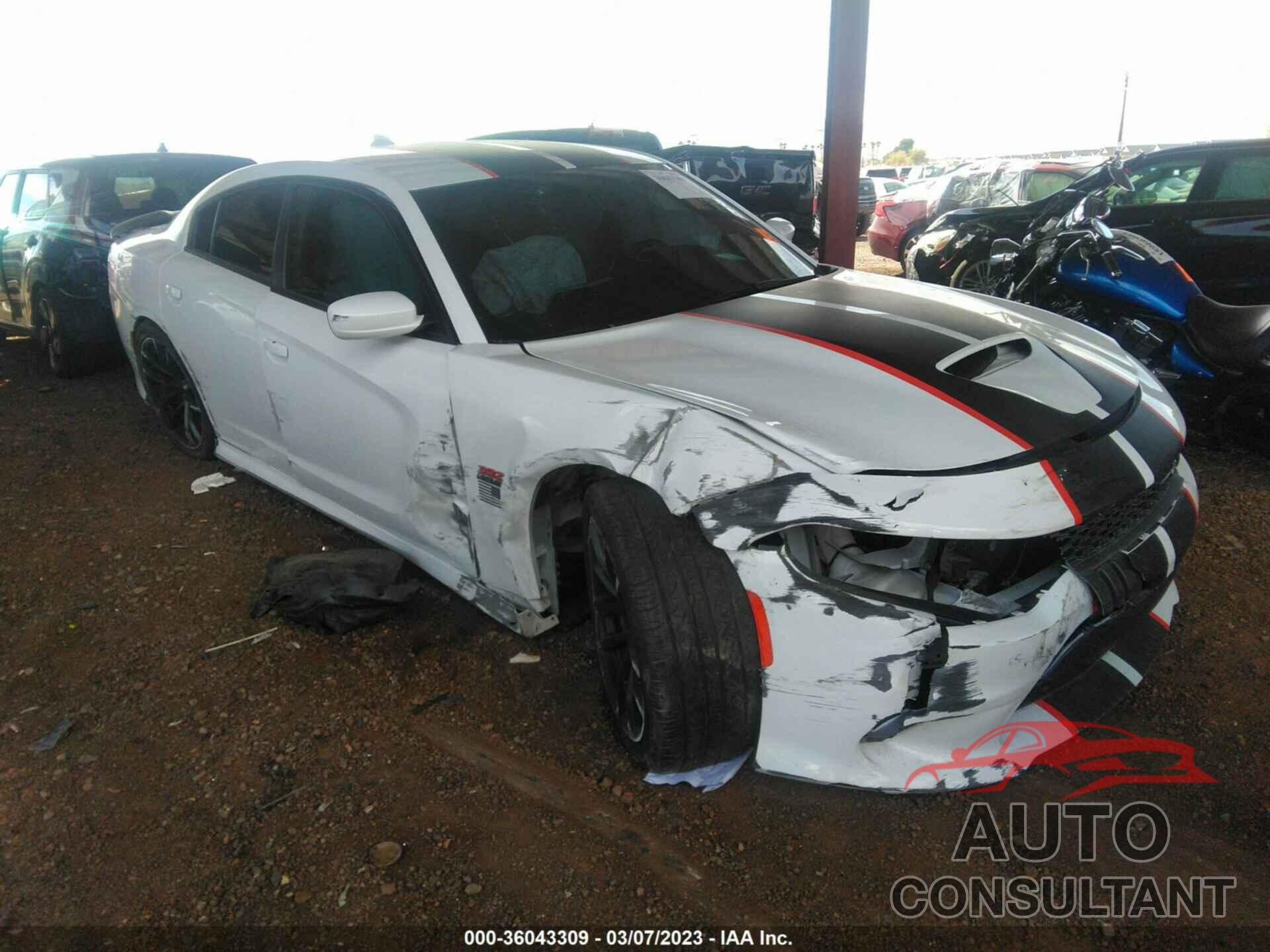 DODGE CHARGER 2020 - 2C3CDXGJ1LH242342