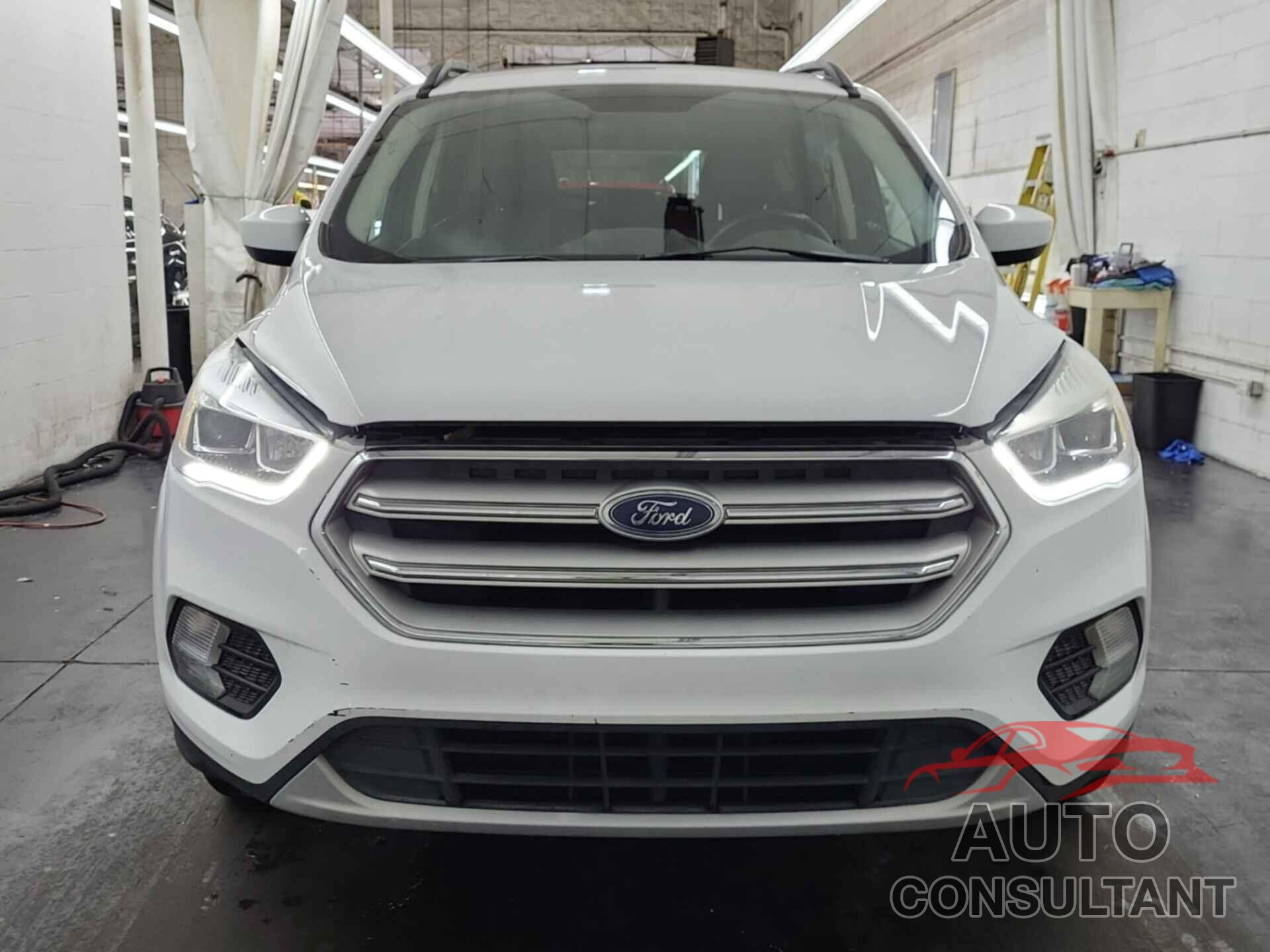 FORD ESCAPE 2019 - 1FMCU9HD0KUA65709