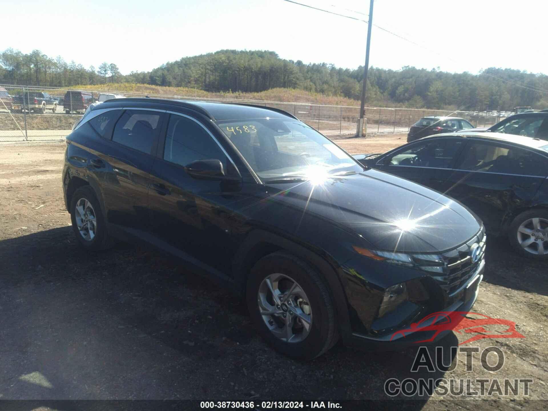 HYUNDAI TUCSON 2024 - 5NMJB3DEXRH306769