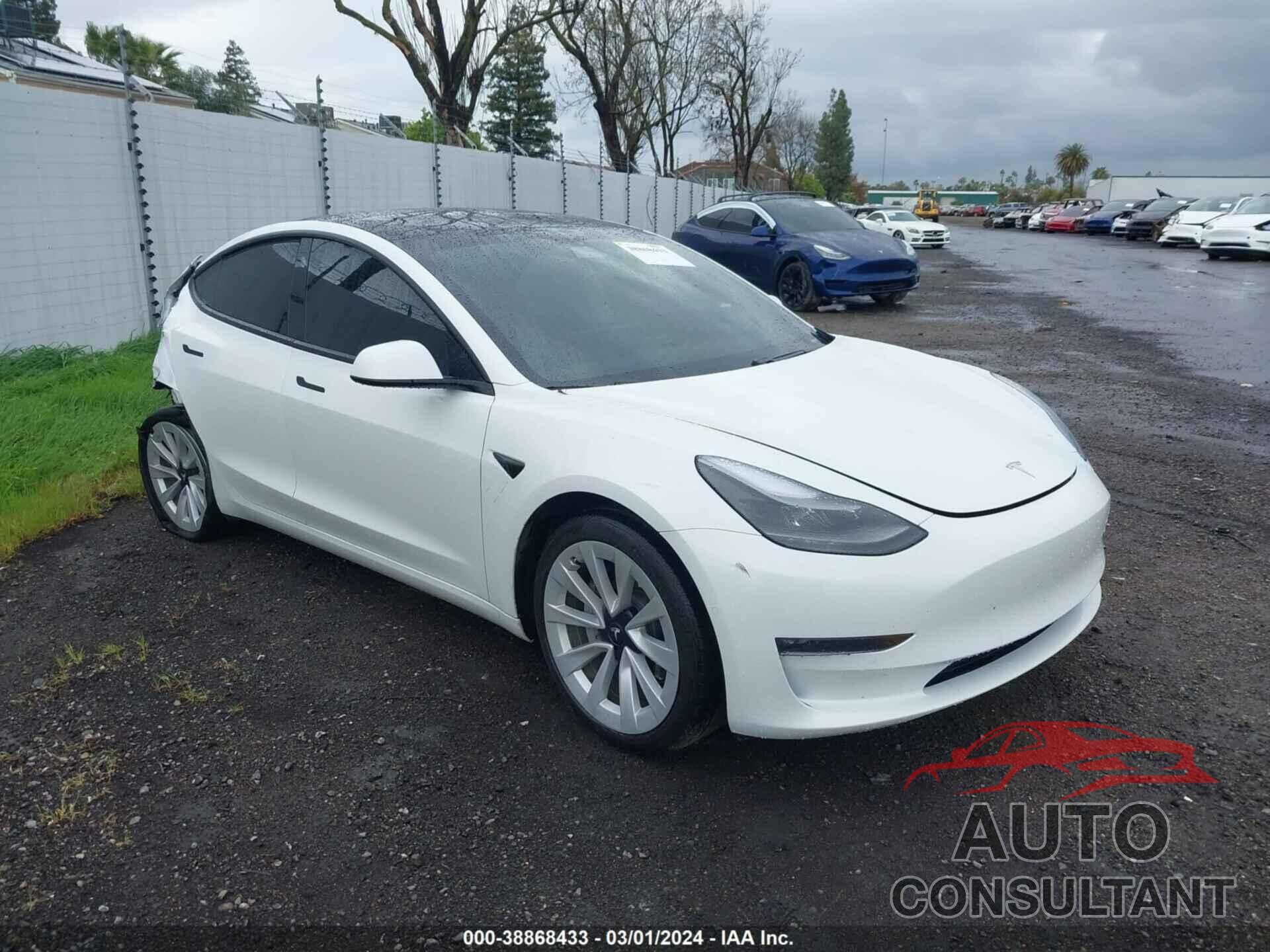 TESLA MODEL 3 2021 - 5YJ3E1EB7MF071542
