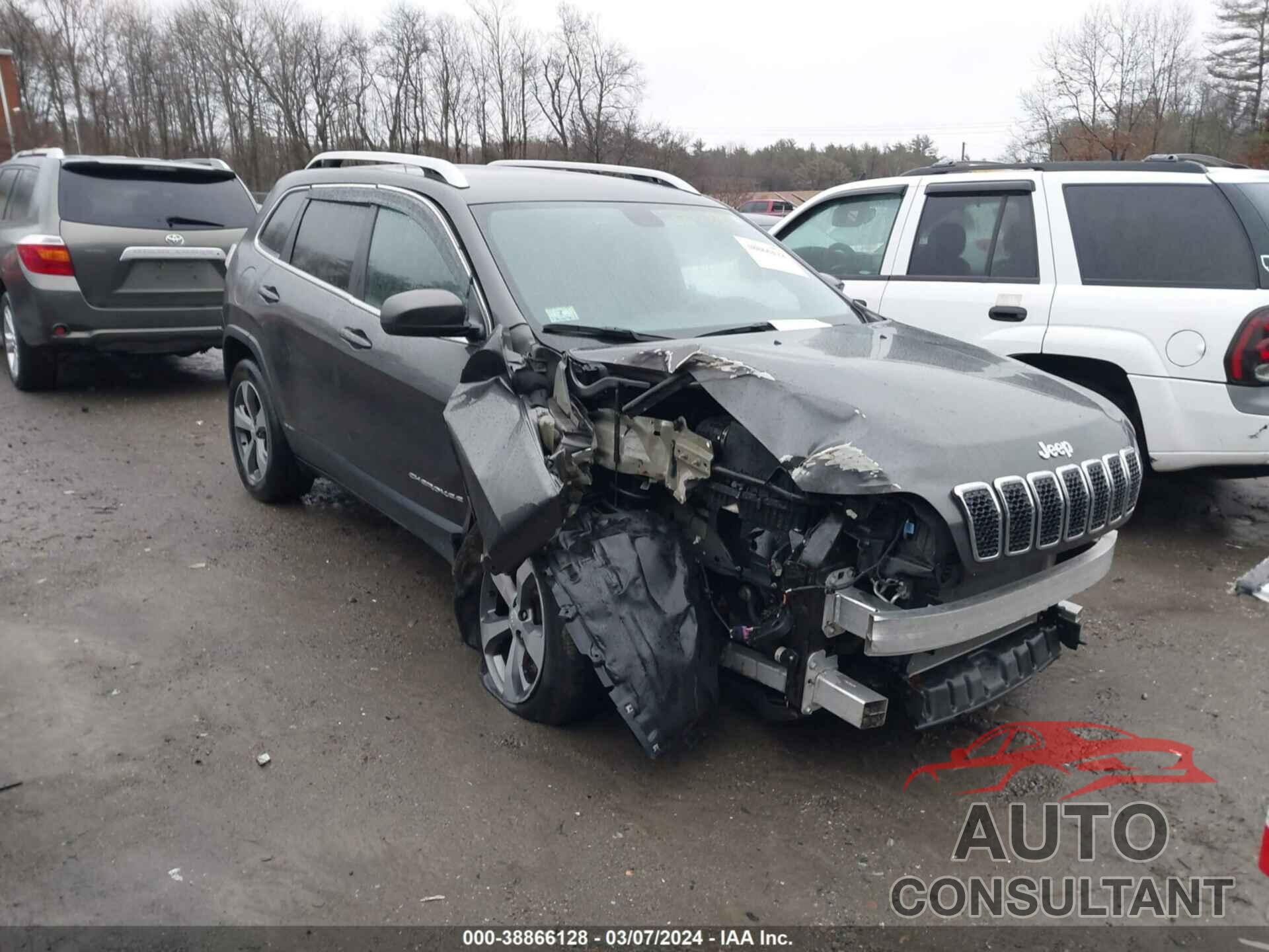 JEEP CHEROKEE 2019 - 1C4PJMDX8KD460237