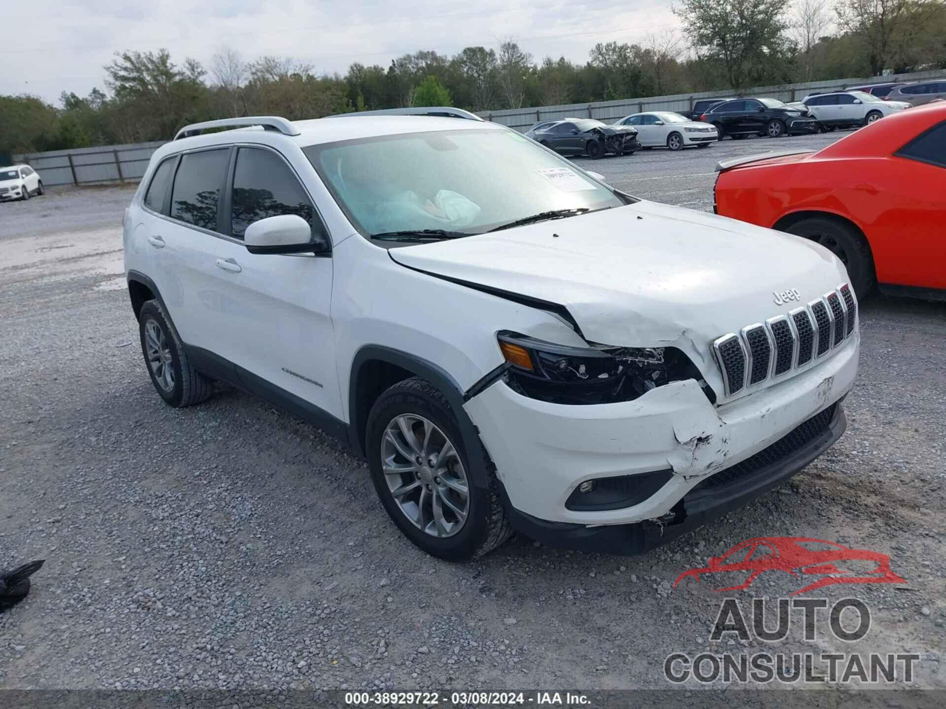 JEEP CHEROKEE 2019 - 1C4PJLLB2KD419781