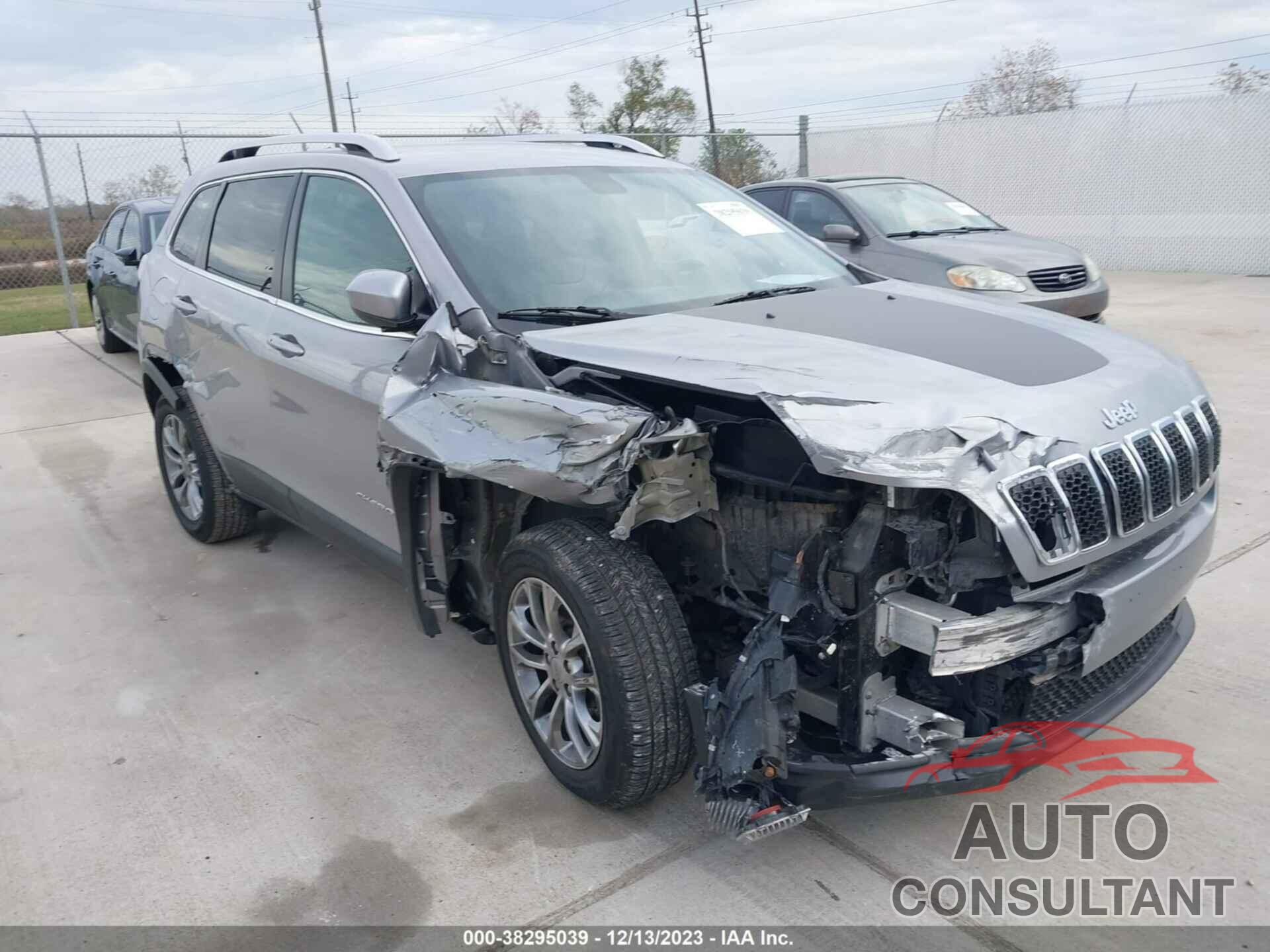 JEEP CHEROKEE 2019 - 1C4PJLLB2KD203011