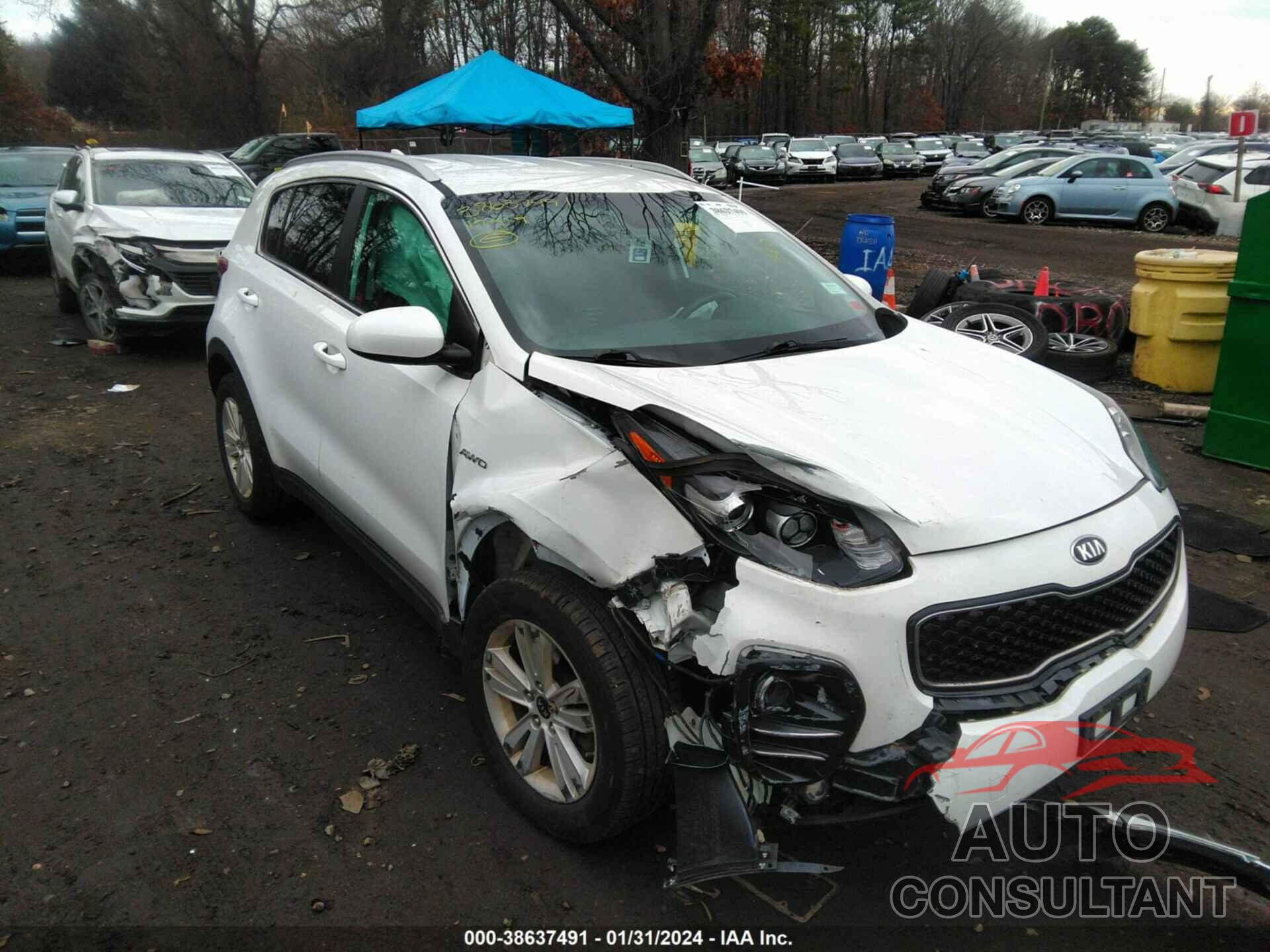 KIA SPORTAGE 2019 - KNDPMCAC4K7541155