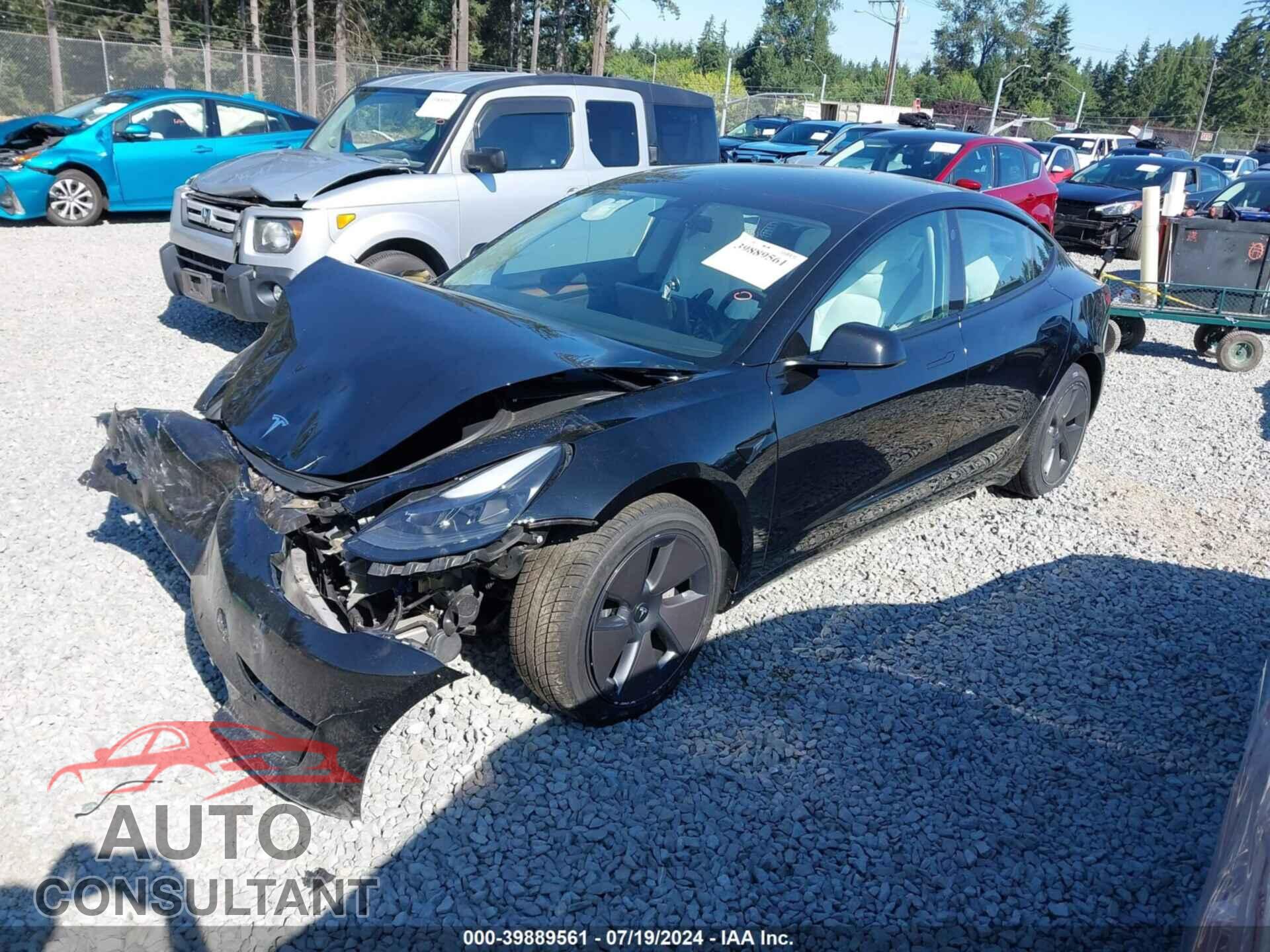 TESLA MODEL 3 2021 - 5YJ3E1EB8MF995875