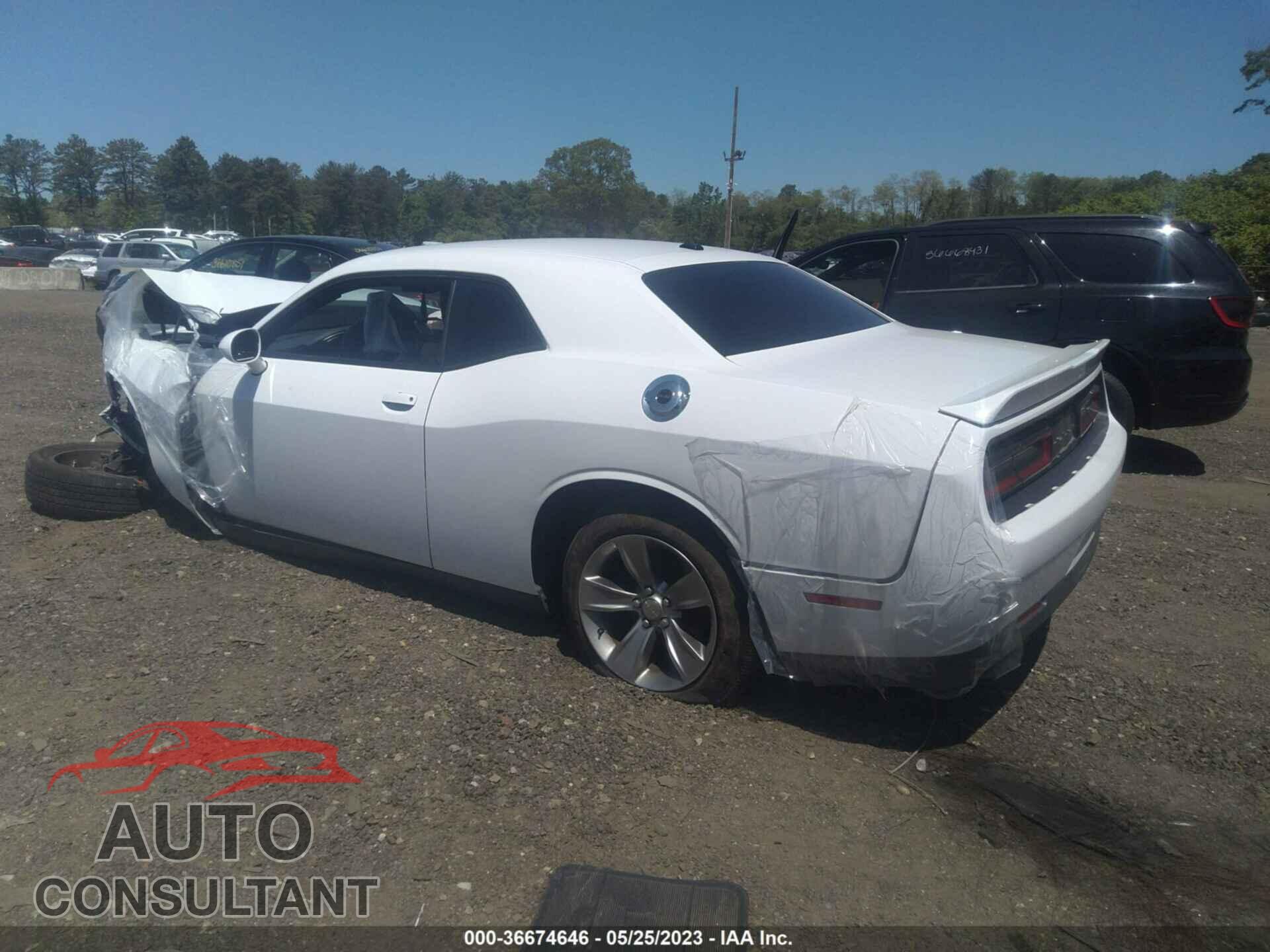 DODGE CHALLENGER 2019 - 2C3CDZAG8KH723342