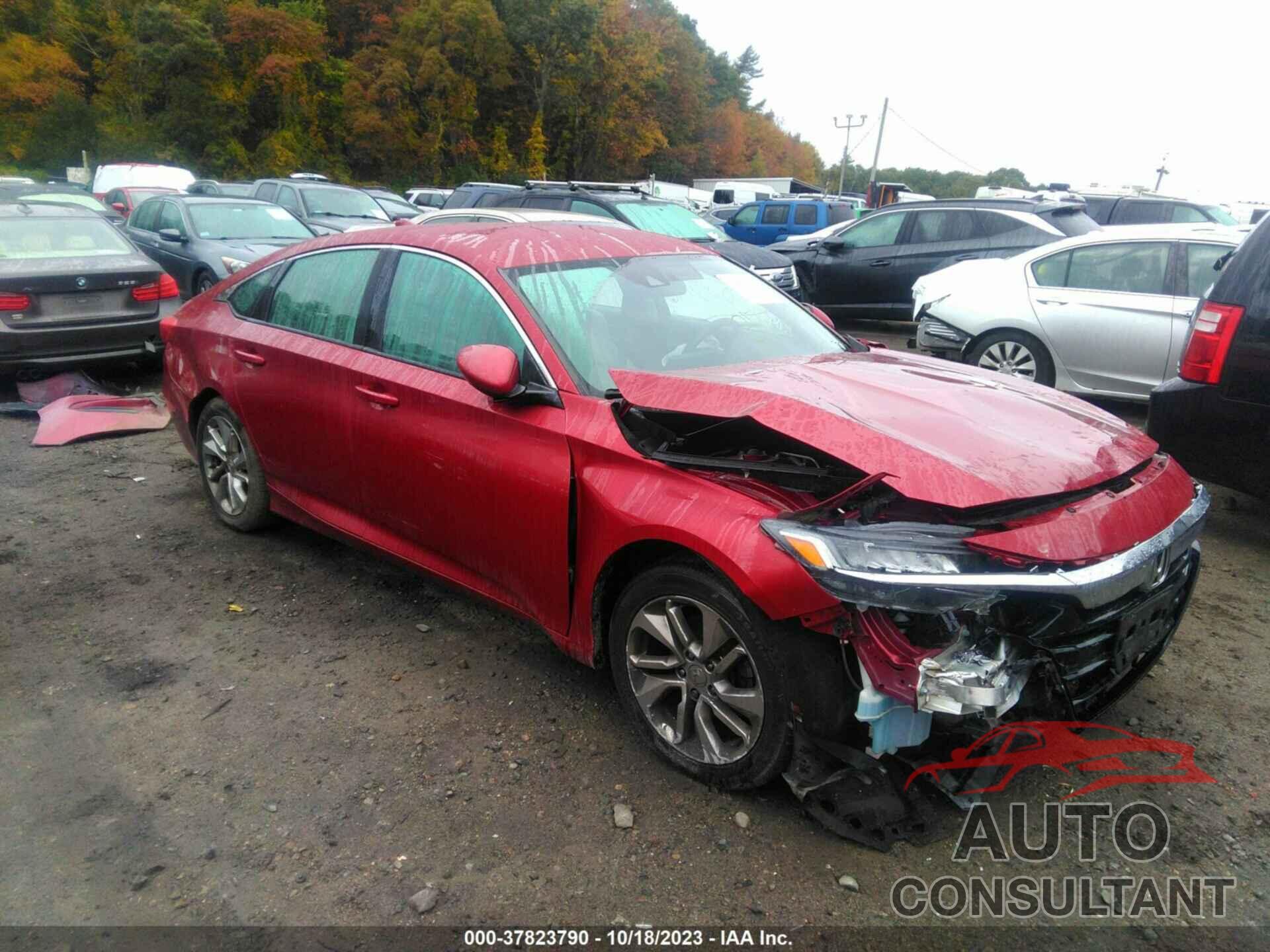 HONDA ACCORD 2019 - 1HGCV1F13KA010895