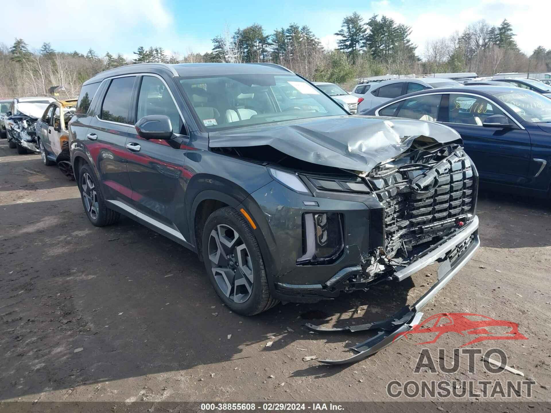 HYUNDAI PALISADE 2024 - KM8R4DGE1RU667276