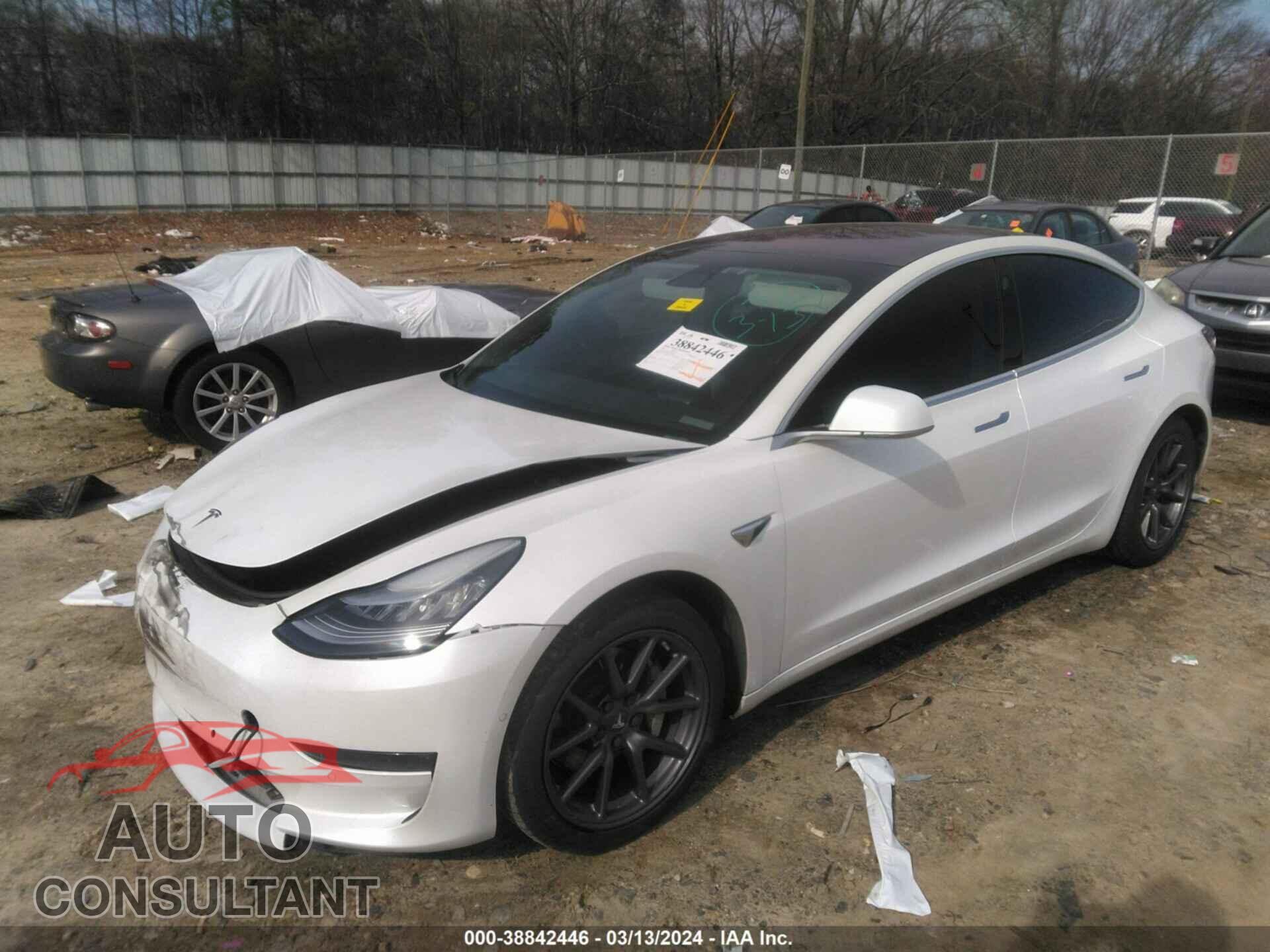 TESLA MODEL 3 2019 - 5YJ3E1EA2KF309799