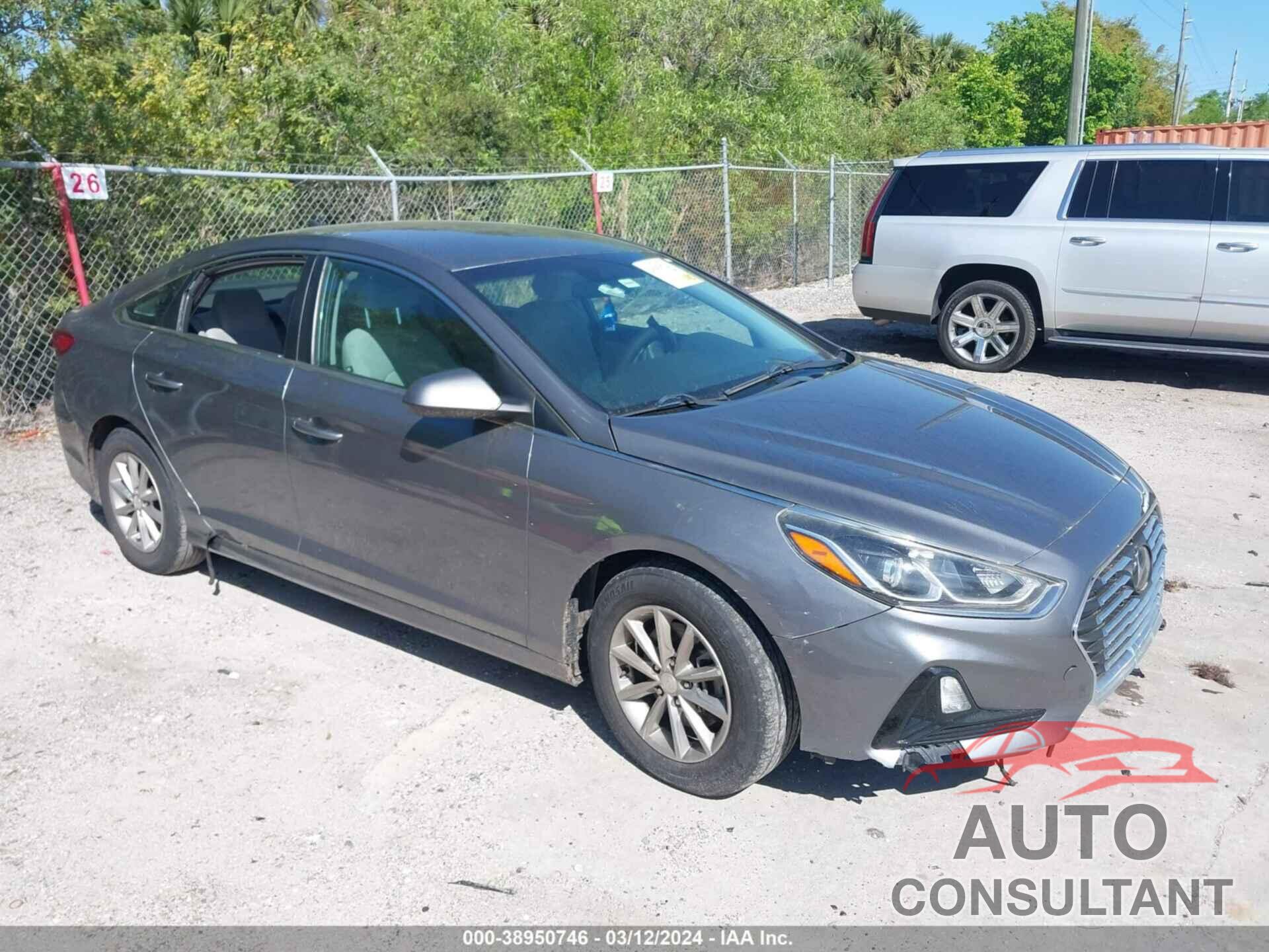 HYUNDAI SONATA 2019 - 5NPE24AF1KH744741
