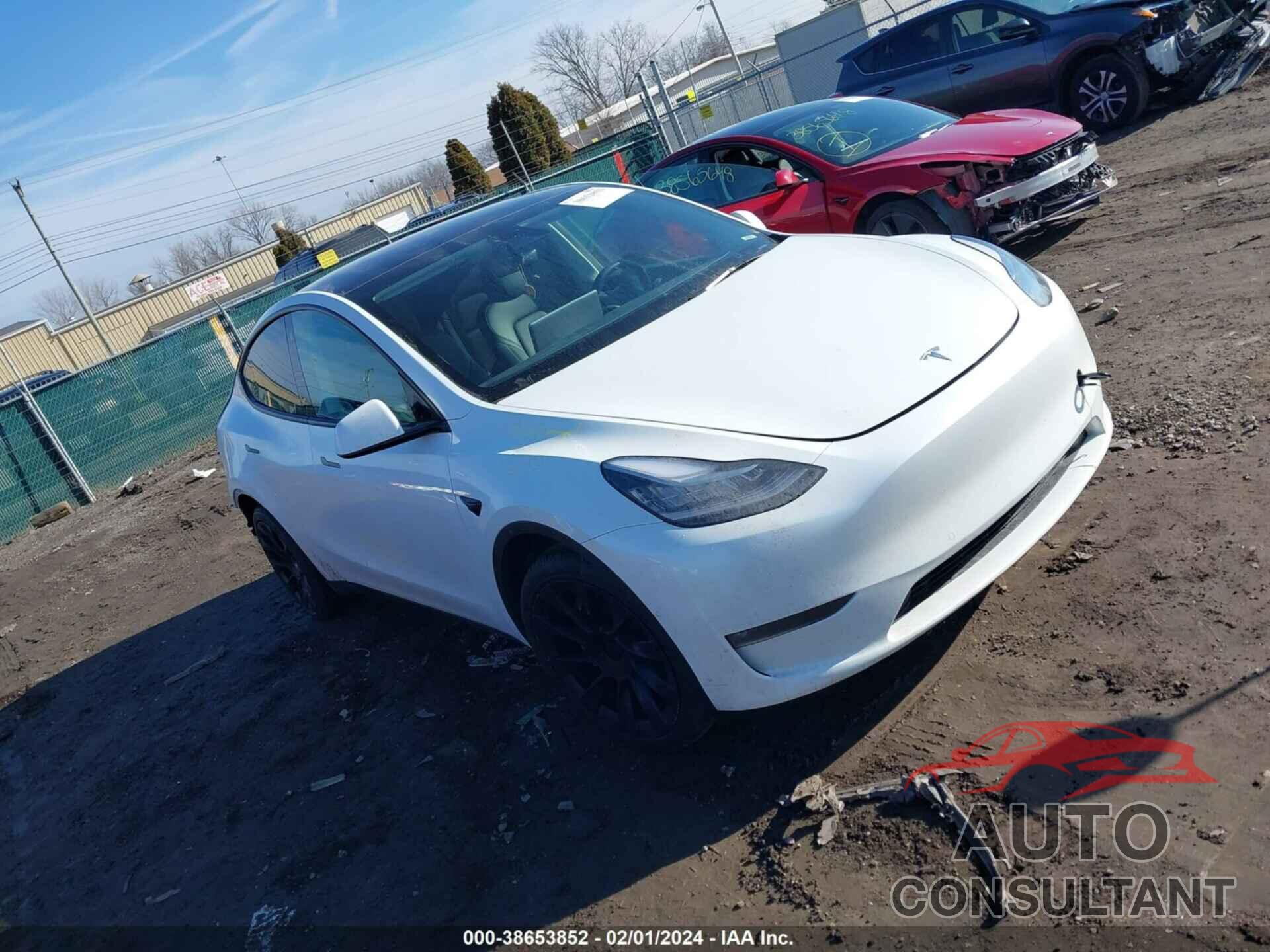 TESLA MODEL Y 2022 - 7SAYGAEE6NF508073