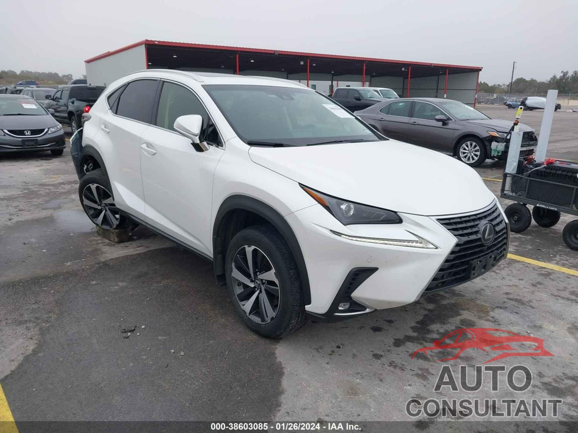 LEXUS NX 300 2019 - JTJBARBZ1K2183404