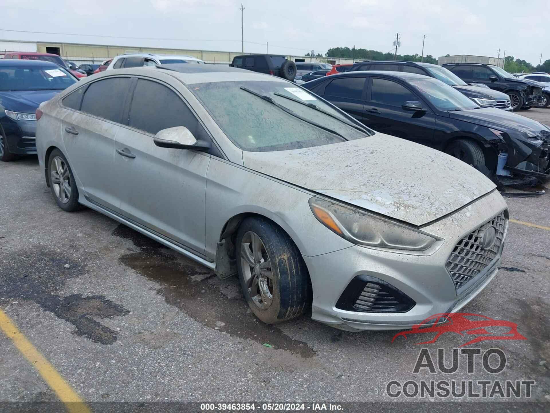 HYUNDAI SONATA 2019 - 5NPE34AF8KH809906