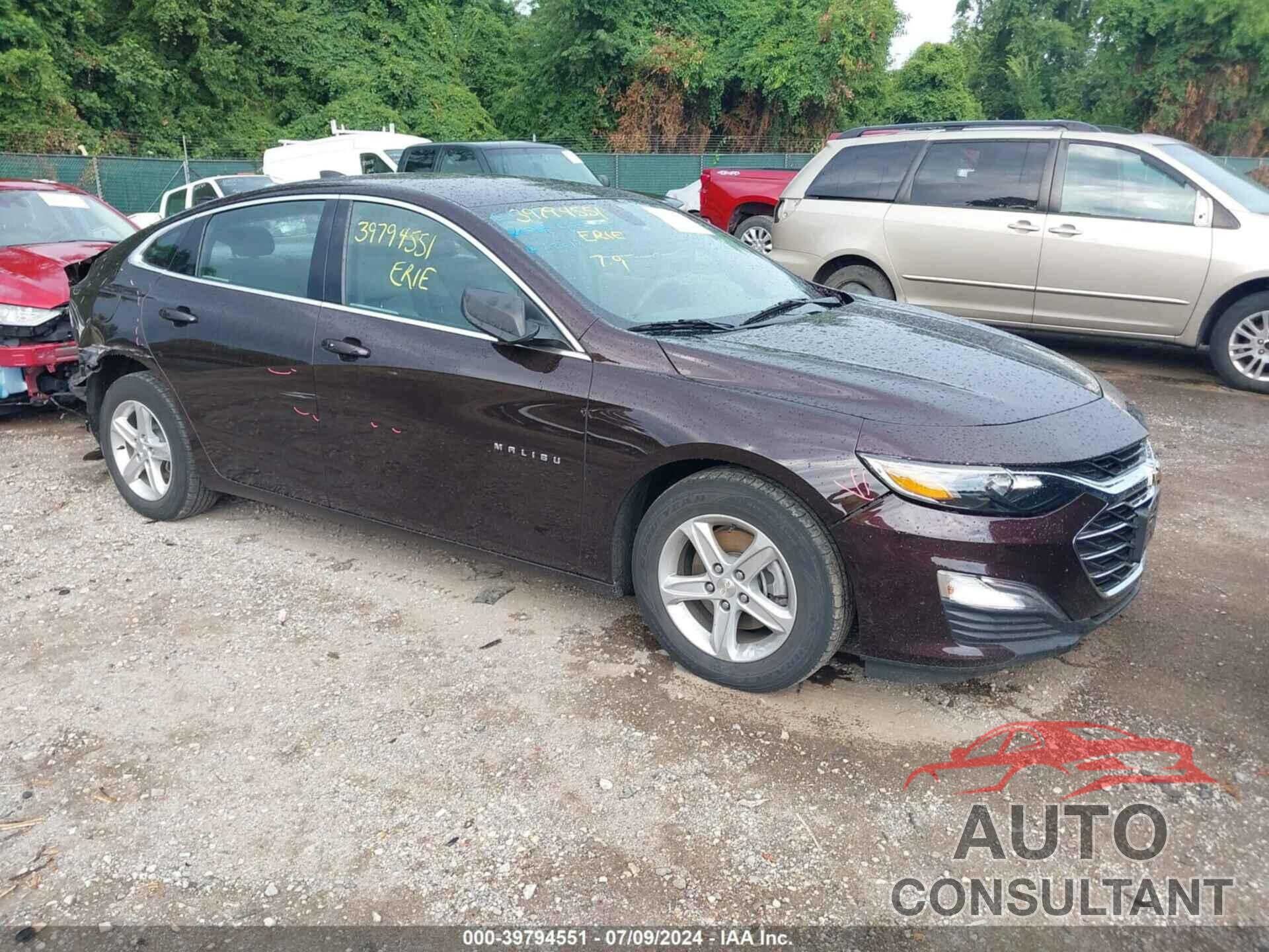 CHEVROLET MALIBU 2020 - 1G1ZB5ST9LF073609