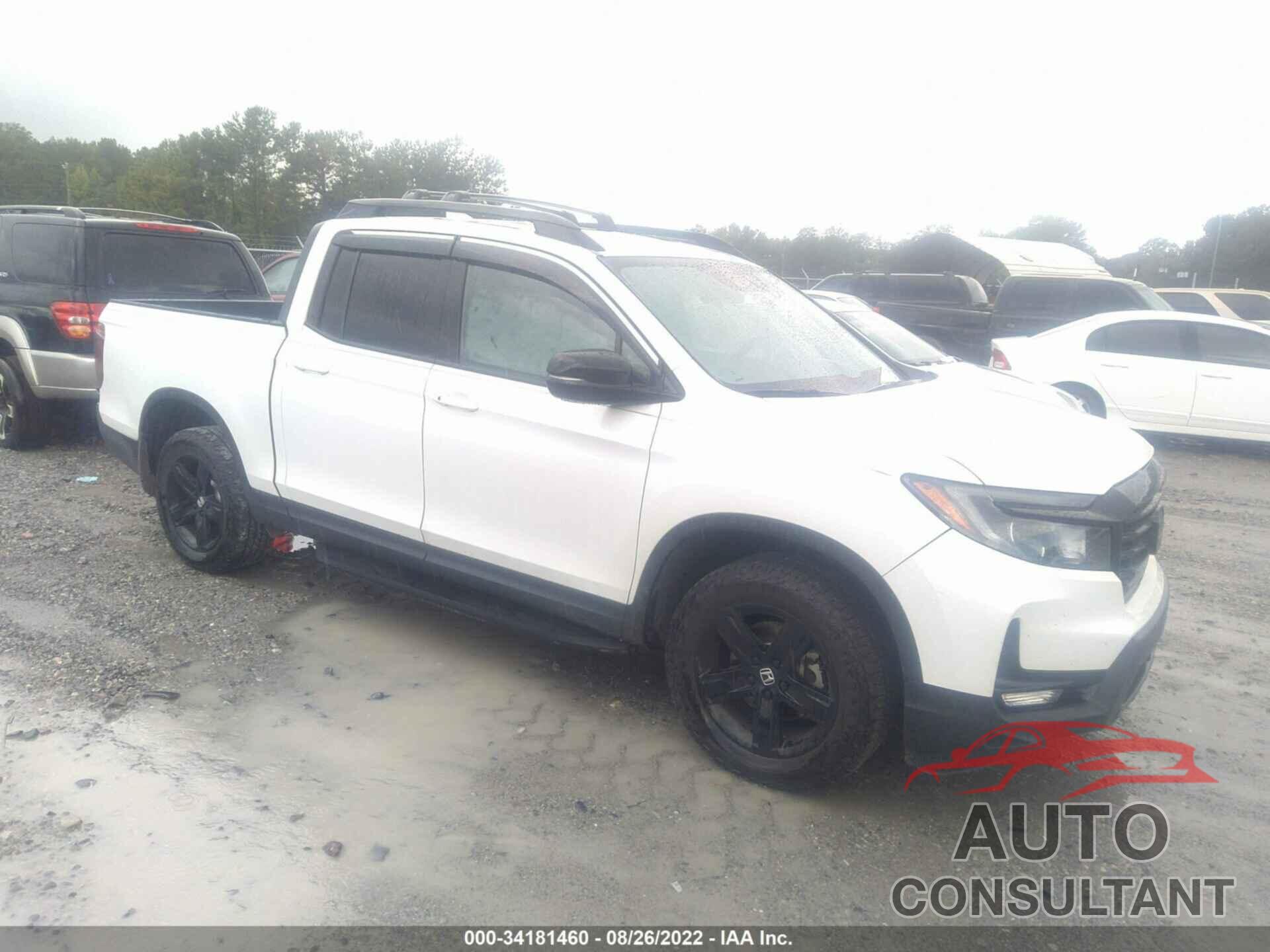 HONDA RIDGELINE 2021 - 5FPYK3F86MB008114