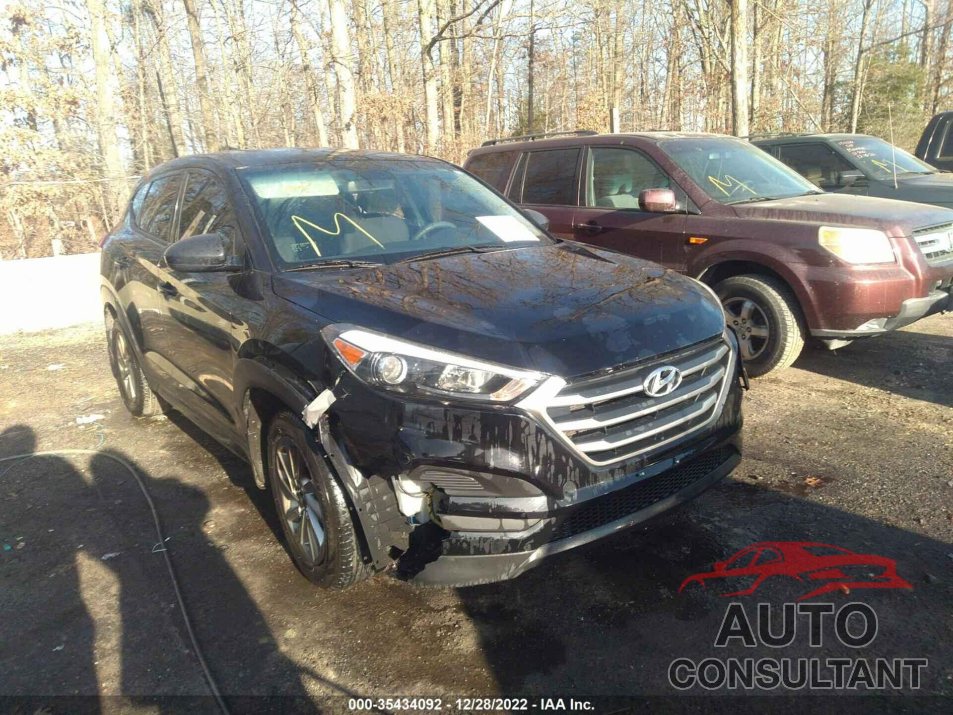 HYUNDAI TUCSON 2017 - KM8J23A43HU458844