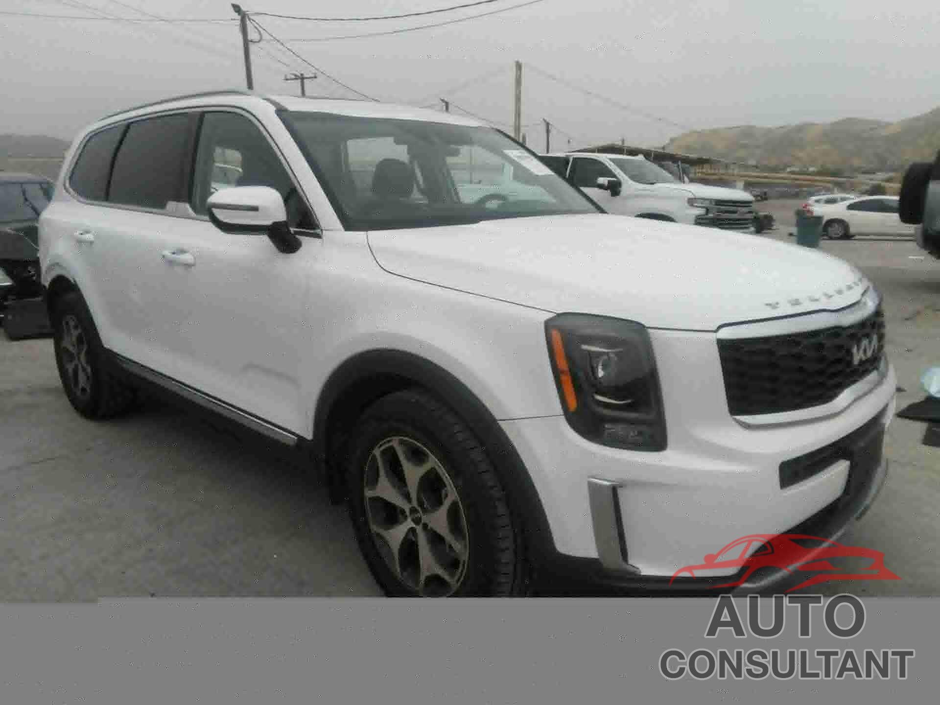 KIA TELLURIDE 2022 - 5XYP3DHC8NG254388