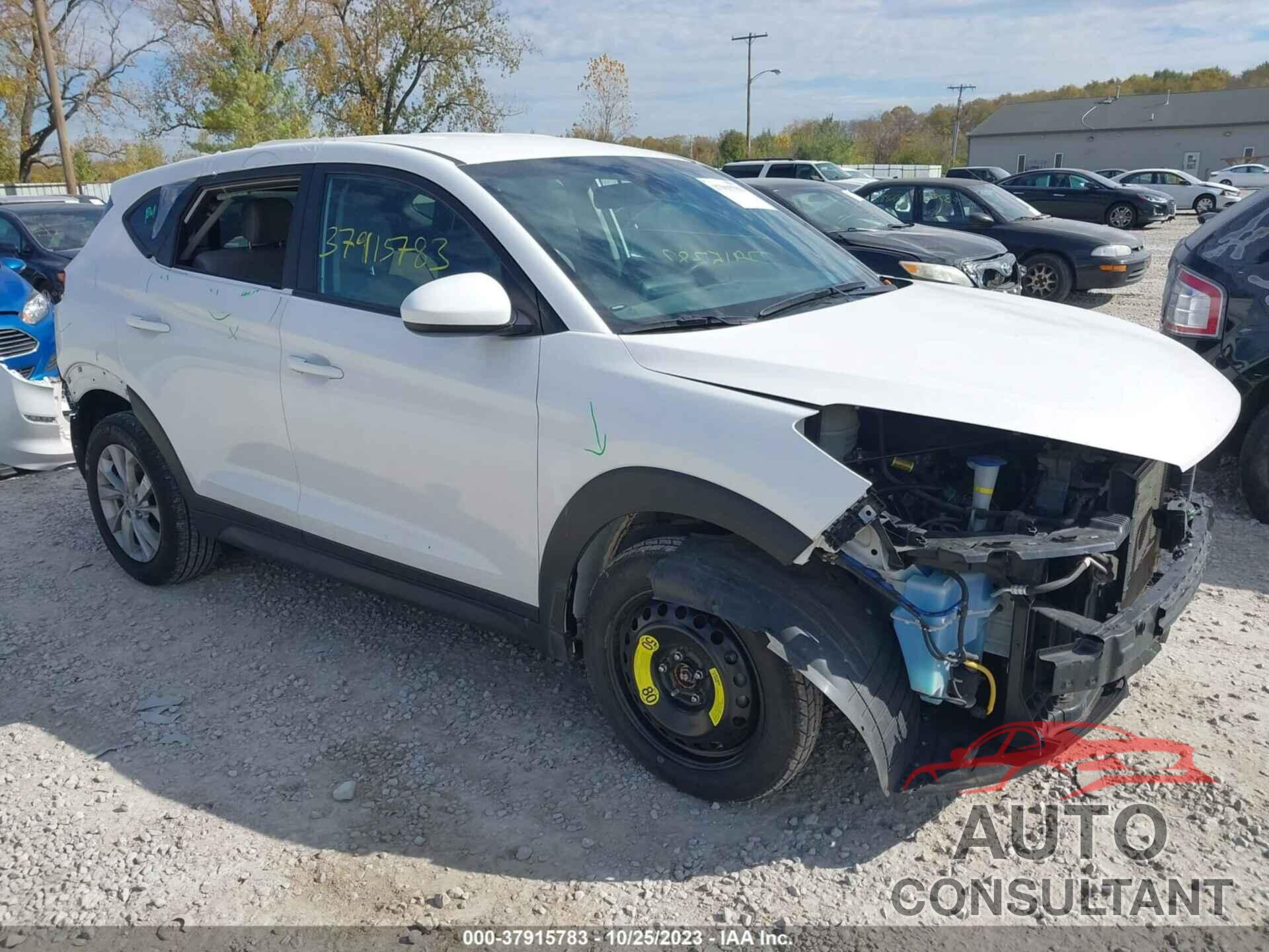 HYUNDAI TUCSON 2020 - KM8J2CA46LU135476