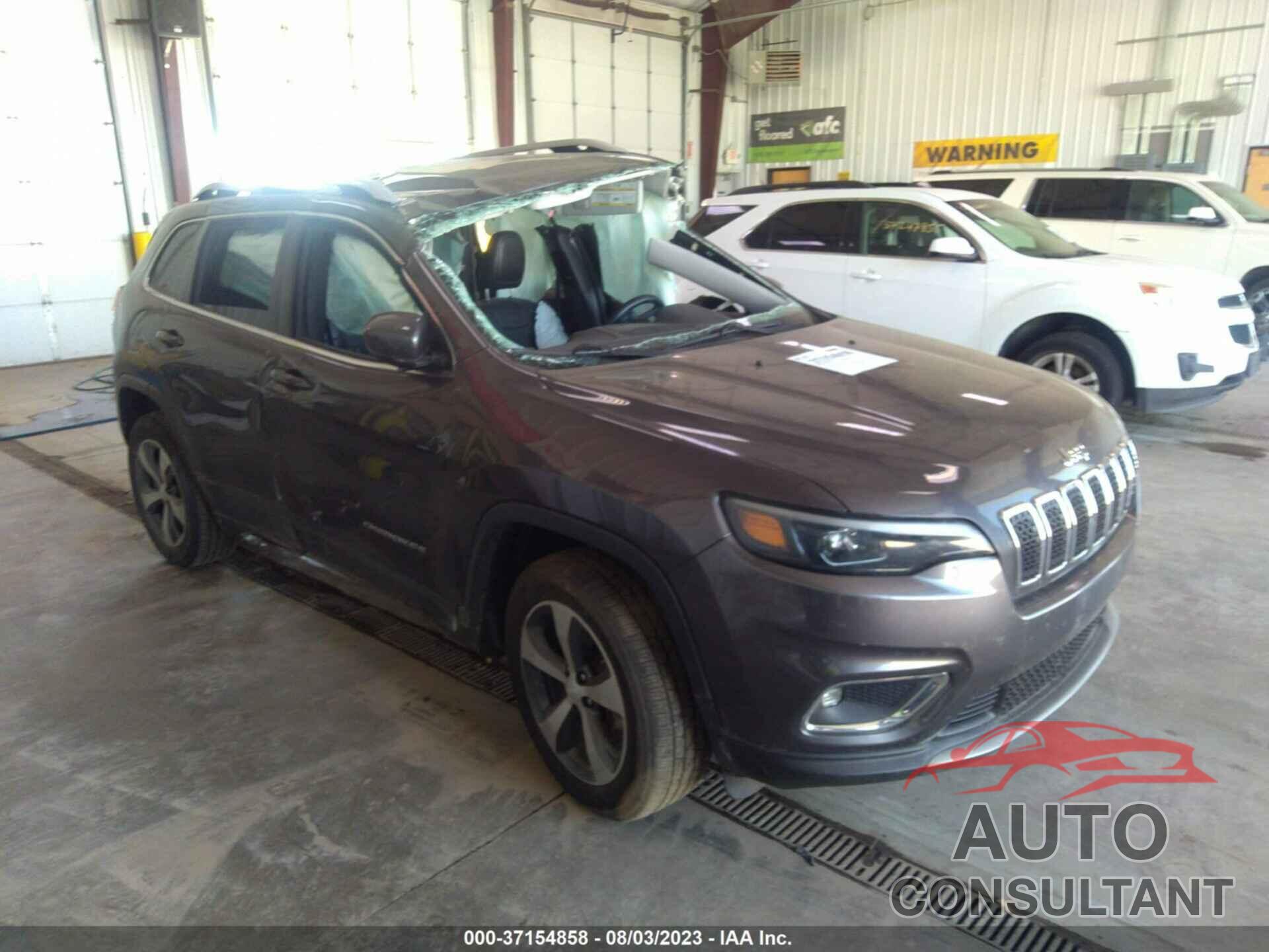 JEEP CHEROKEE 2019 - 1C4PJMDX7KD391802