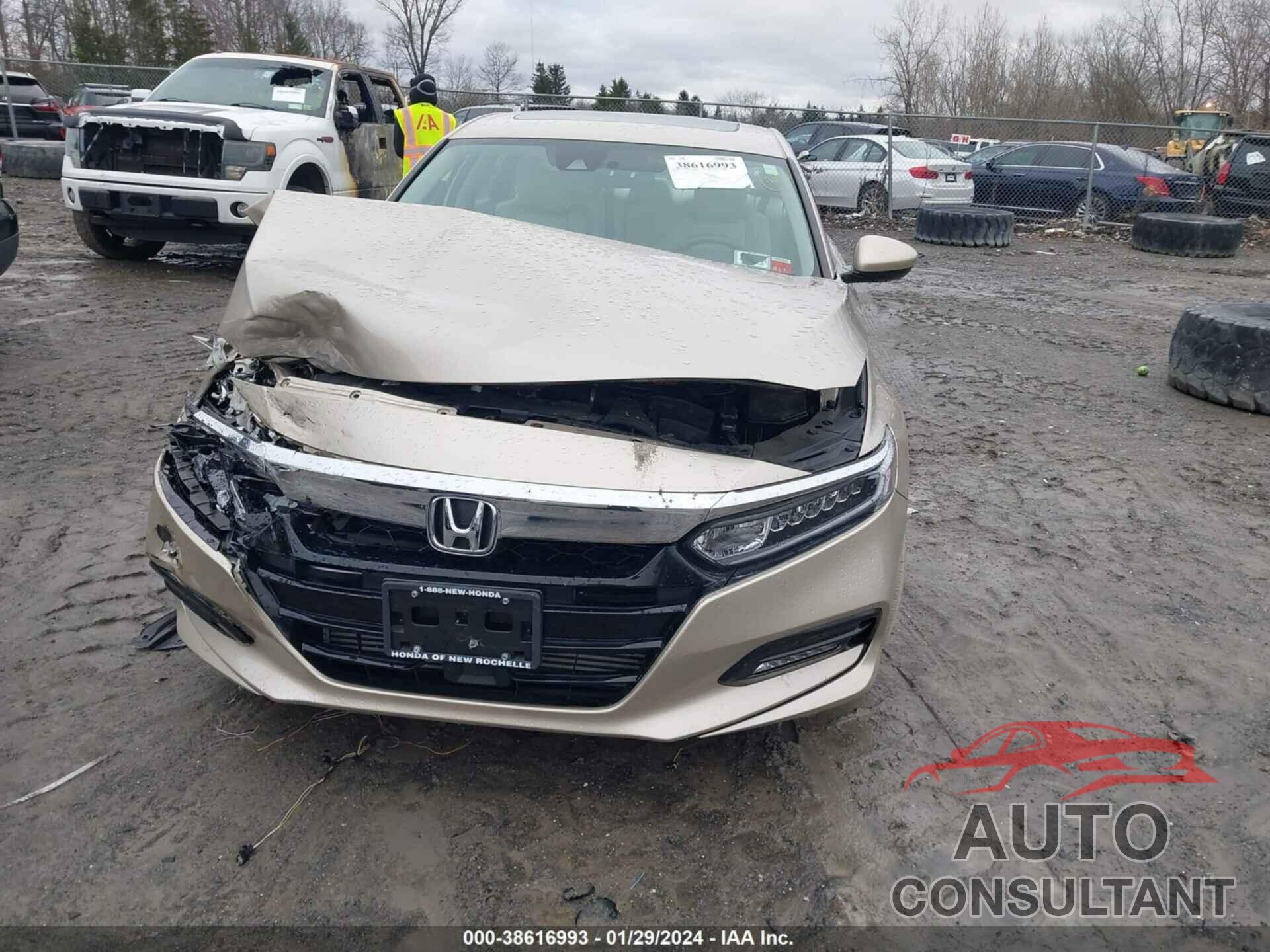 HONDA ACCORD 2019 - 1HGCV1F43KA163626