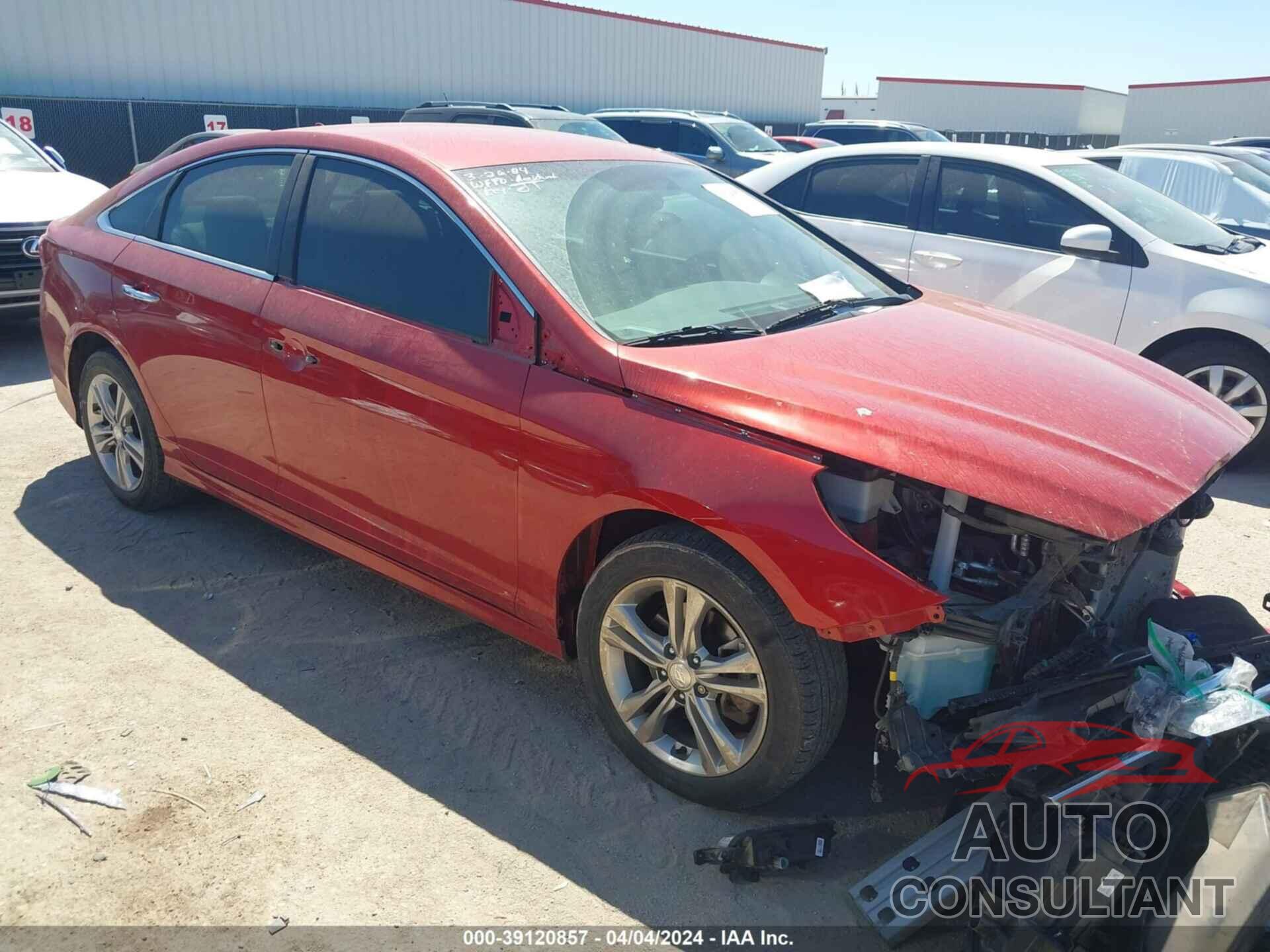 HYUNDAI SONATA 2019 - 5NPE34AF1KH759706