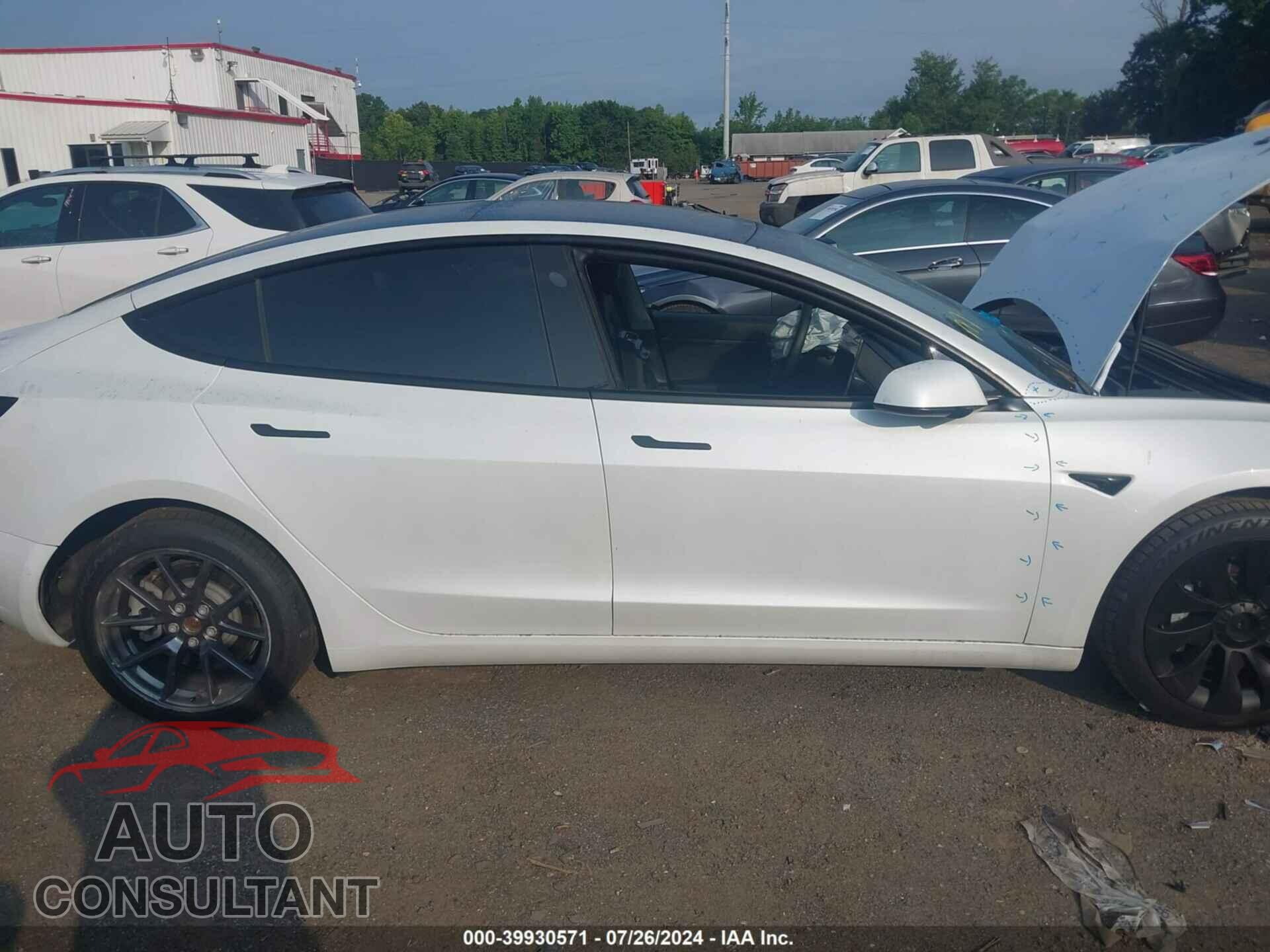 TESLA MODEL 3 2021 - 5YJ3E1EA5MF923538