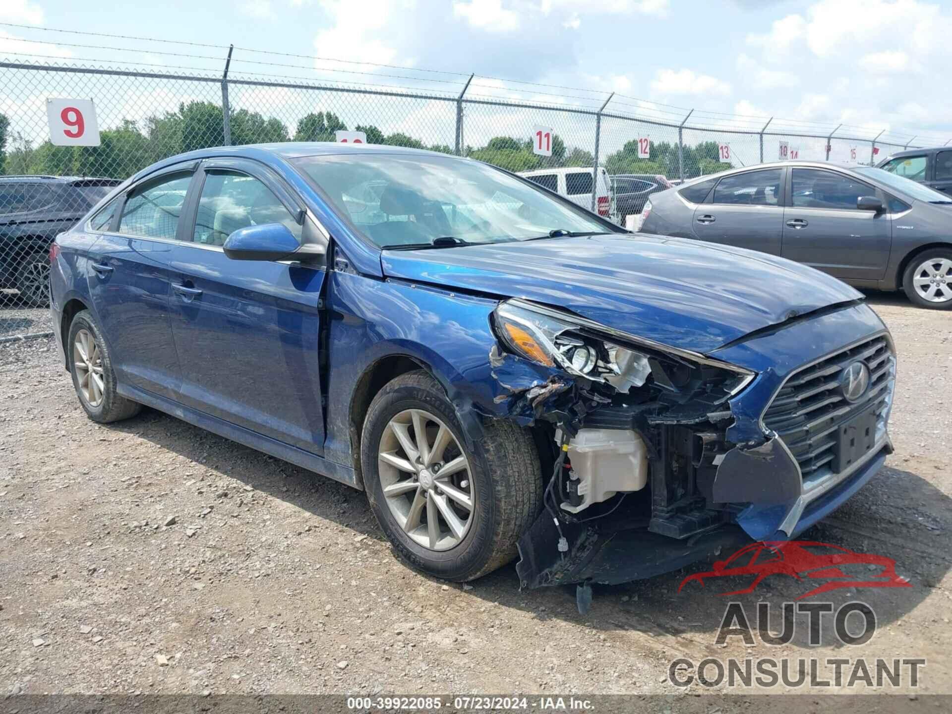 HYUNDAI SONATA 2019 - 5NPE24AF7KH772558