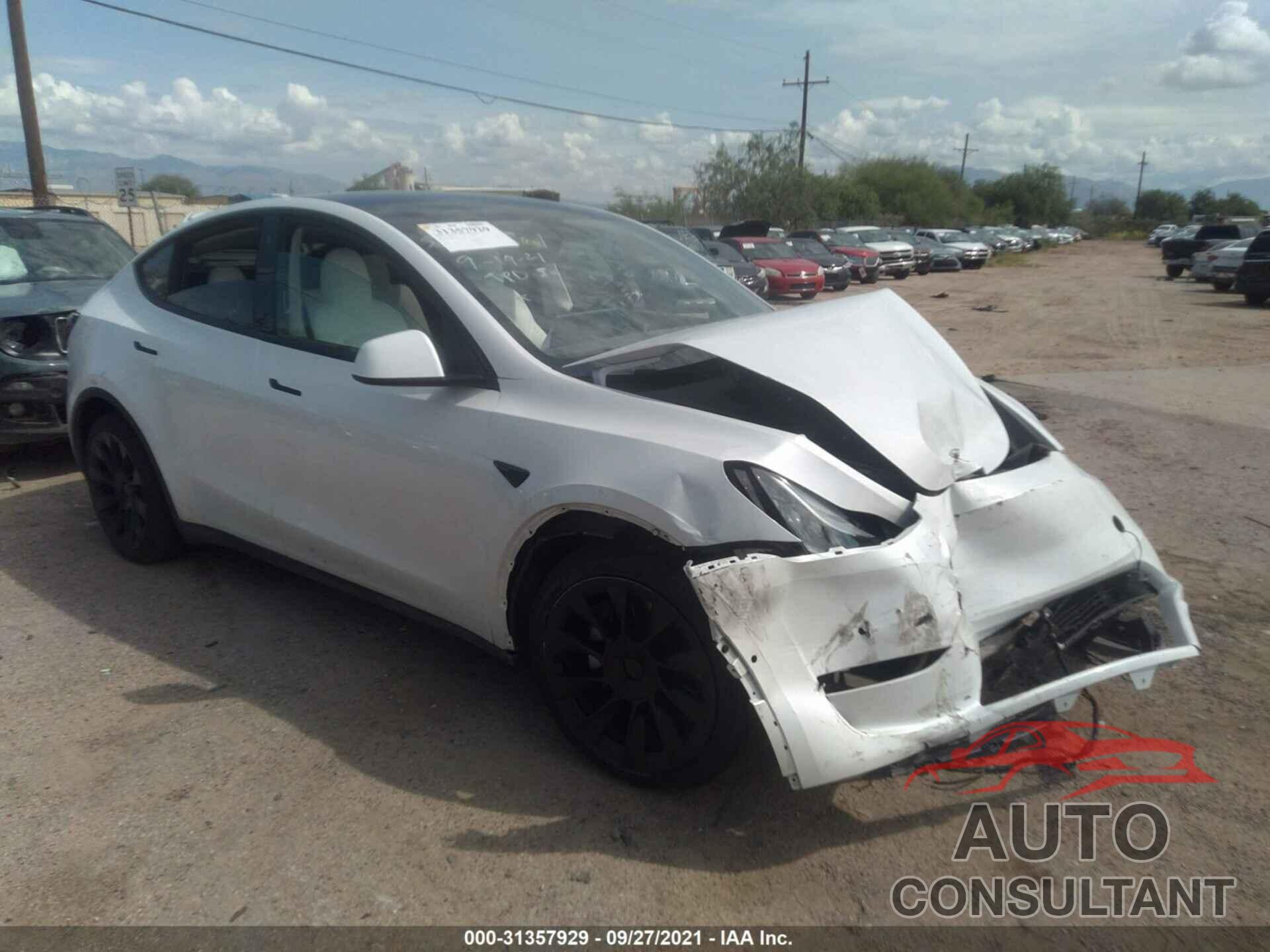 TESLA MODEL Y 2021 - 5YJYGDEE1MF091281