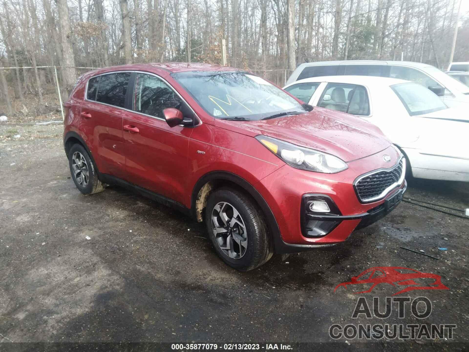 KIA SPORTAGE 2022 - KNDPMCACXN7952497
