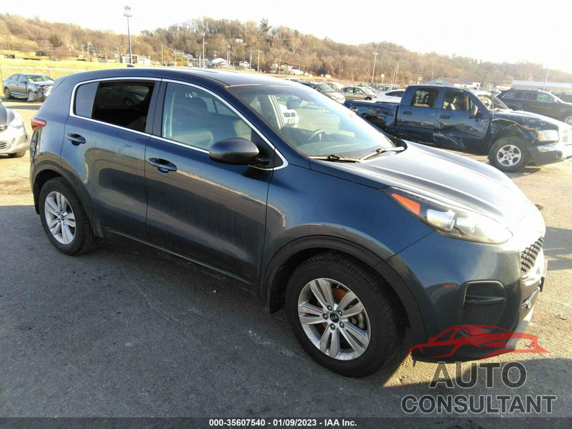 KIA SPORTAGE 2017 - KNDPM3AC6H7219027