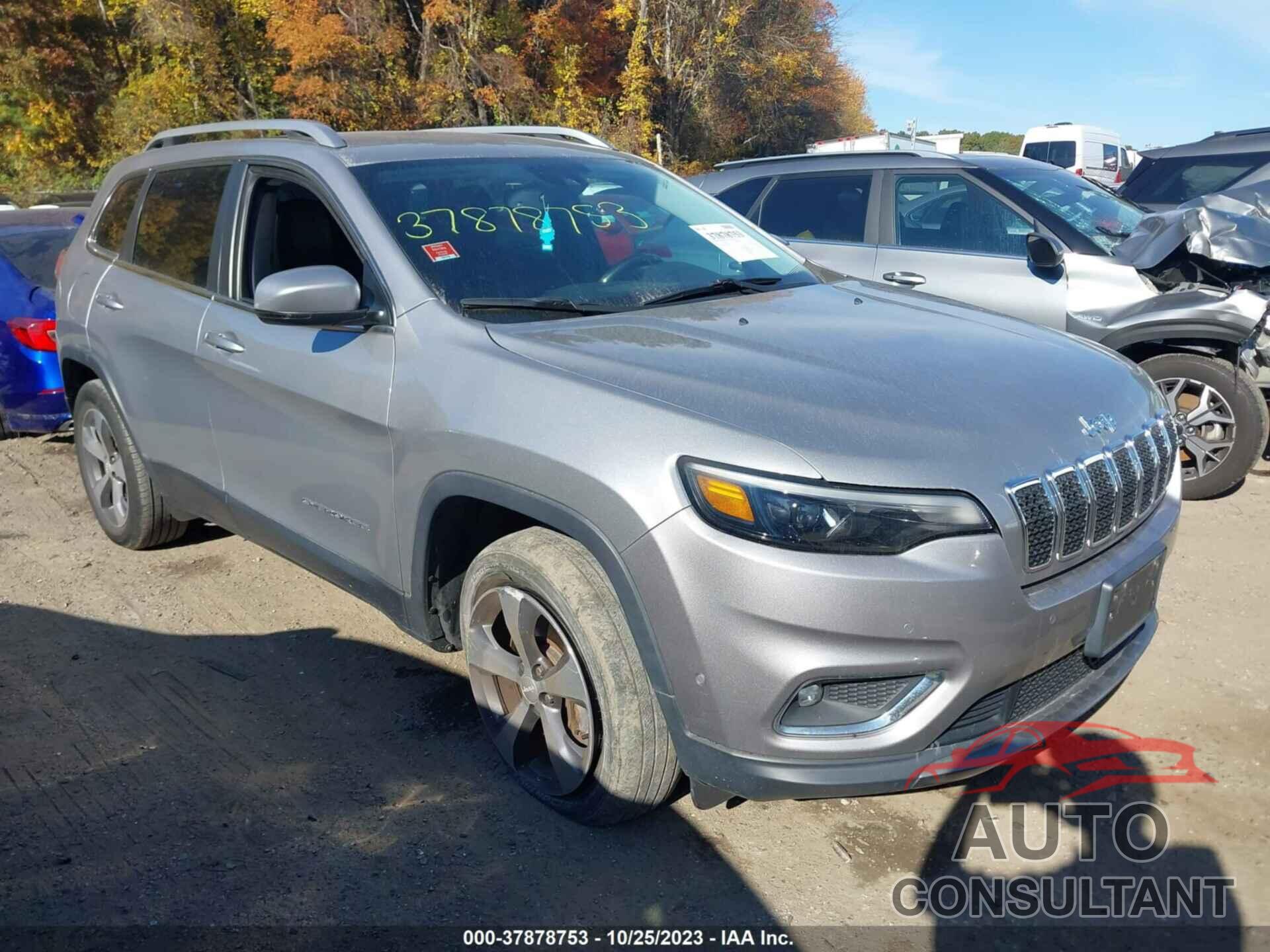 JEEP CHEROKEE 2019 - 1C4PJMDX2KD169698