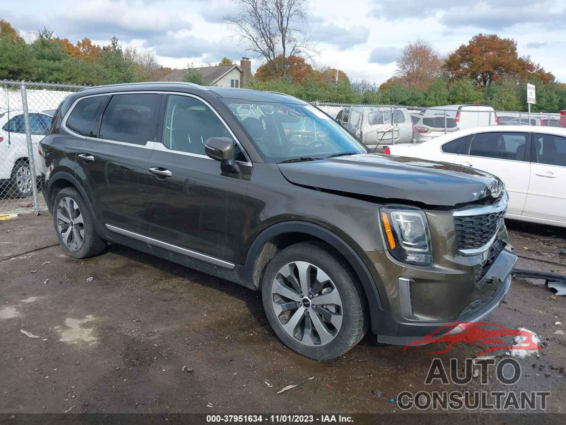 KIA TELLURIDE 2022 - 5XYP64HCXNG240175