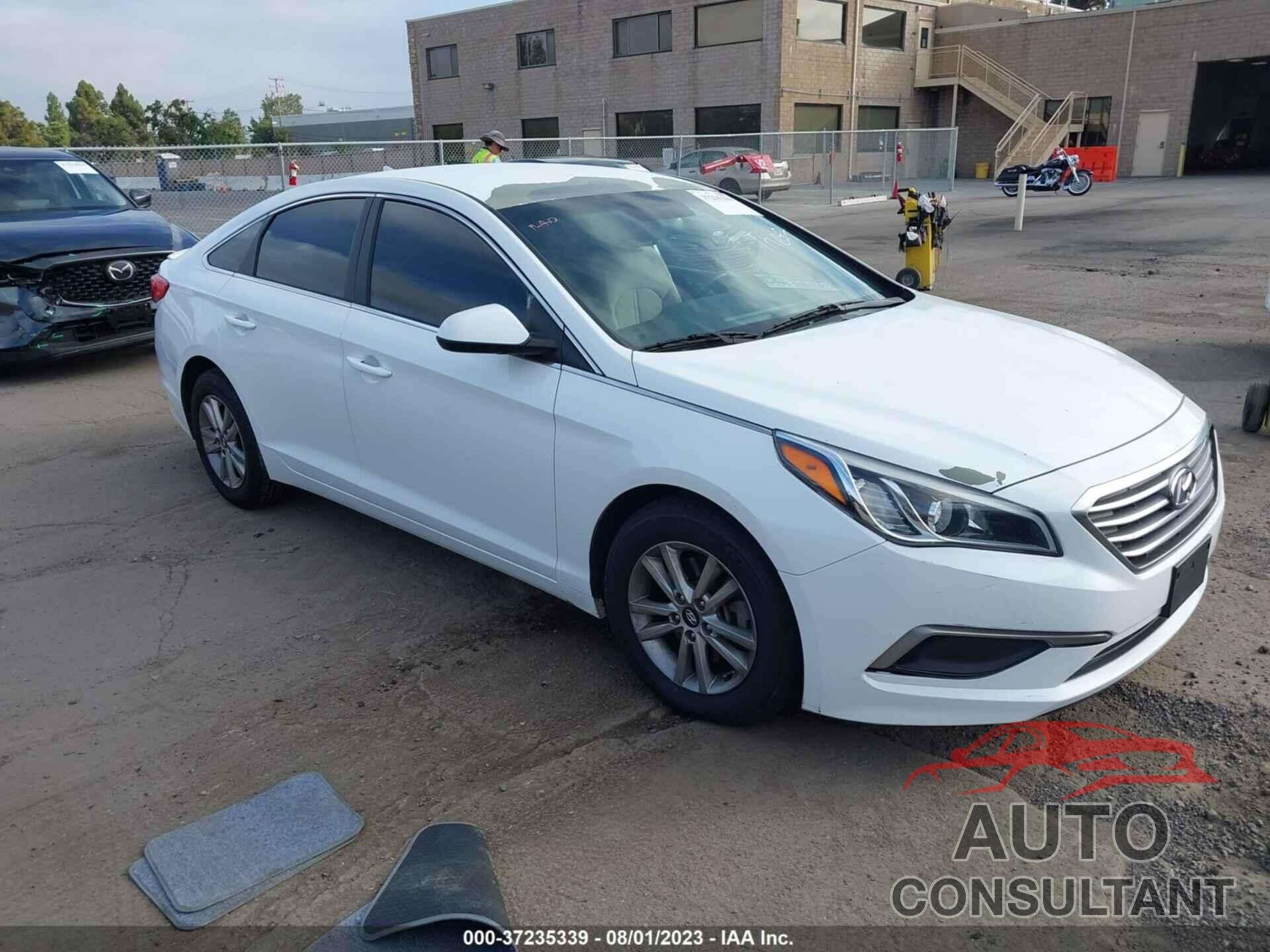 HYUNDAI SONATA 2016 - 5NPE24AF0GH355693