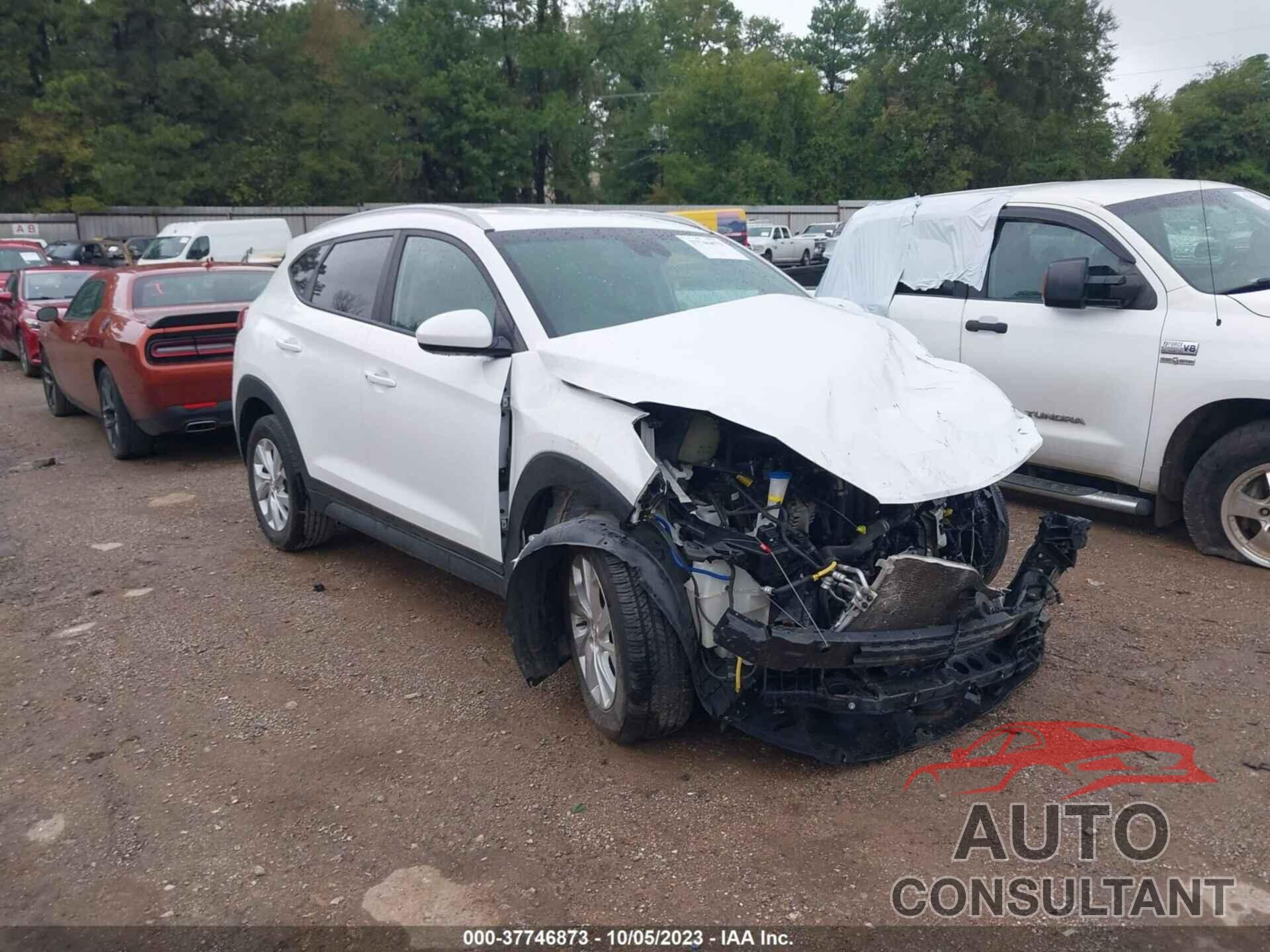 HYUNDAI TUCSON 2019 - KM8J33A41KU037662